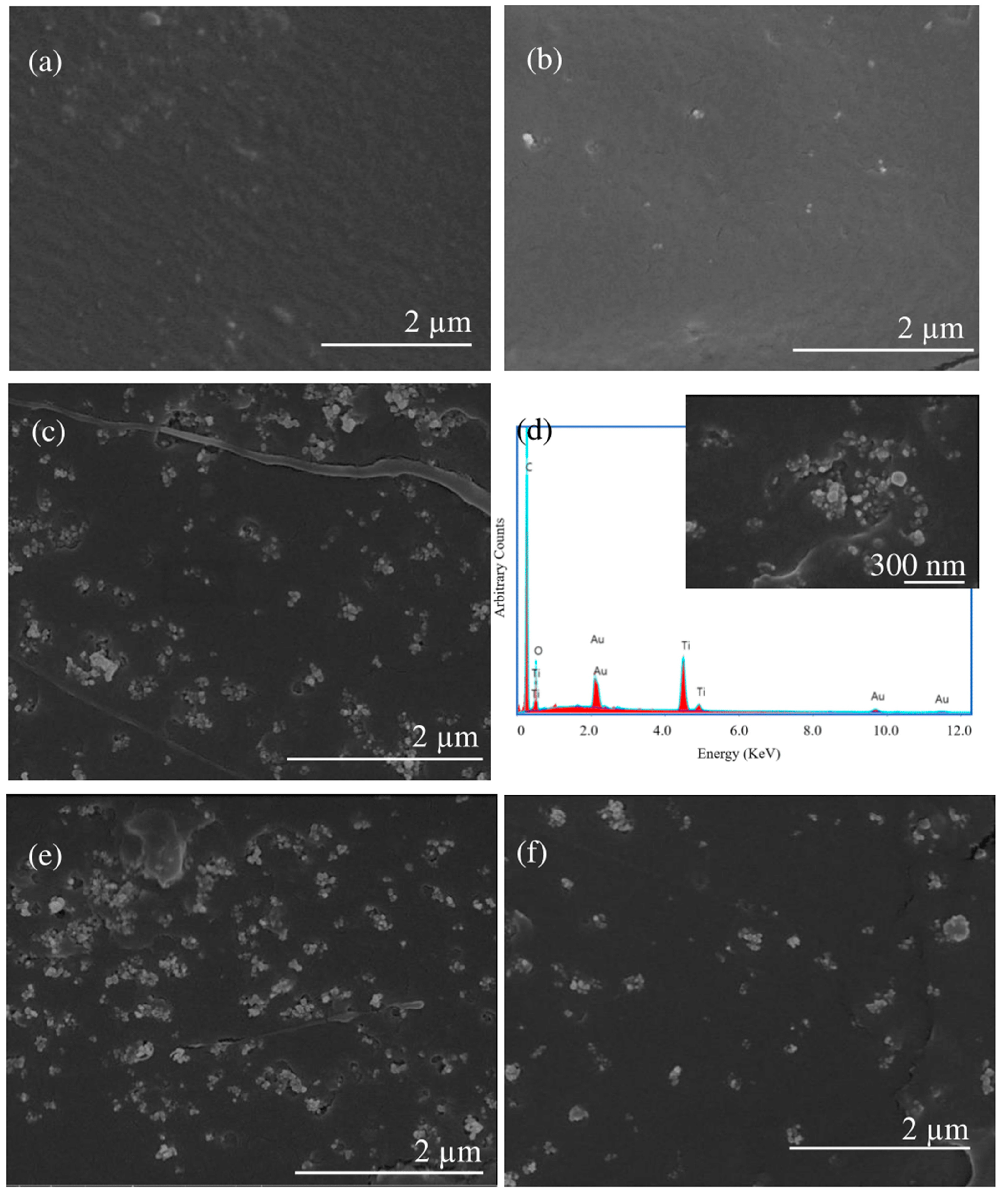 Polymers 15 03458 g004