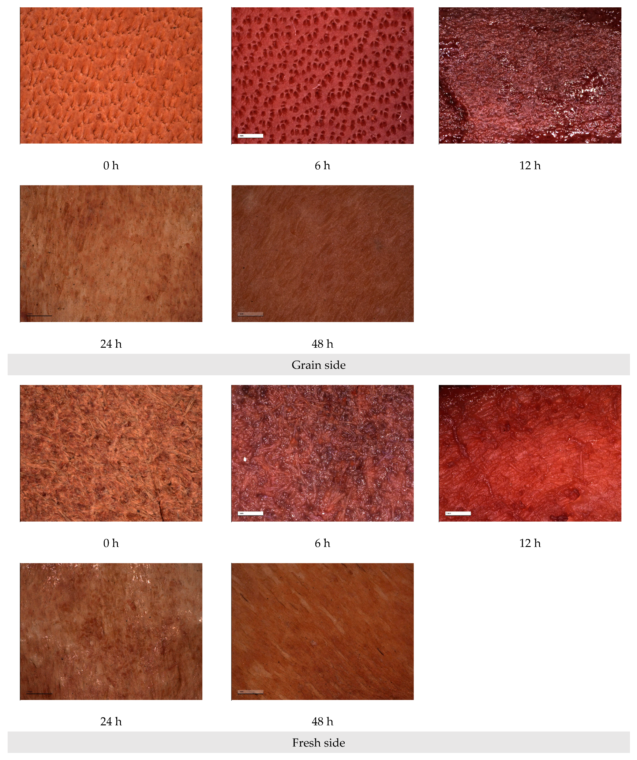 Polymers 15 03459 g001