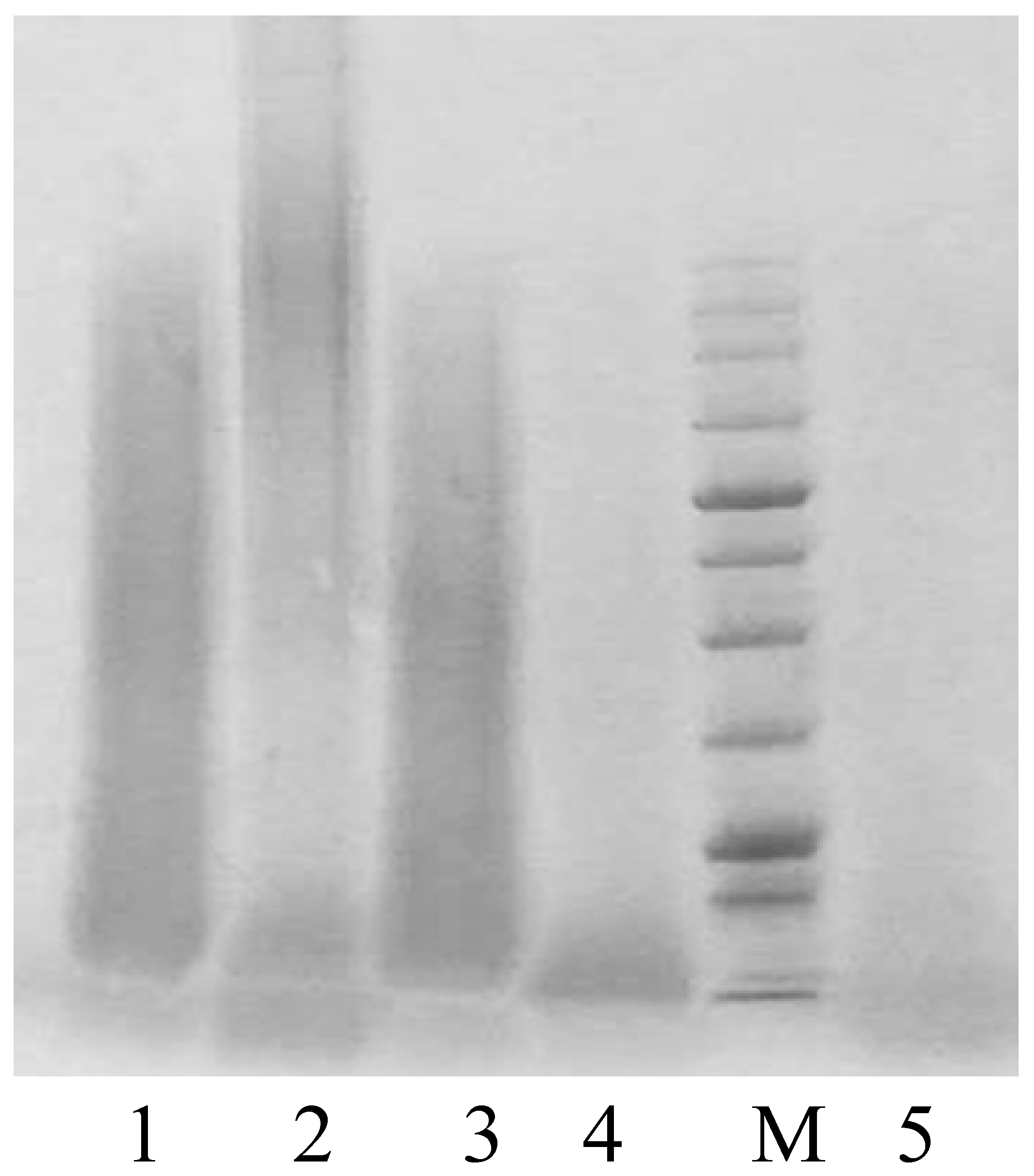 Polymers 15 03459 g003