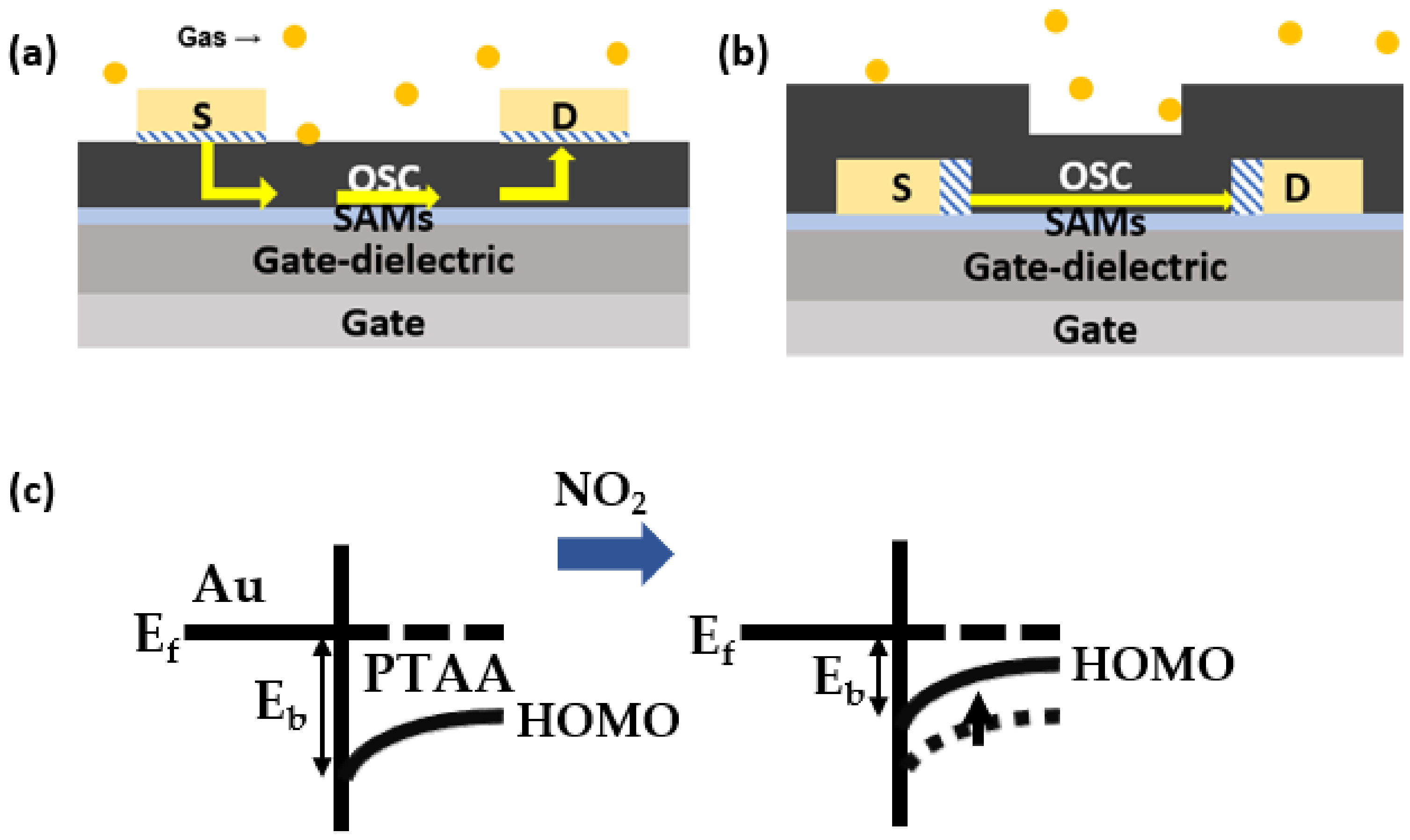 Polymers 15 03463 g003