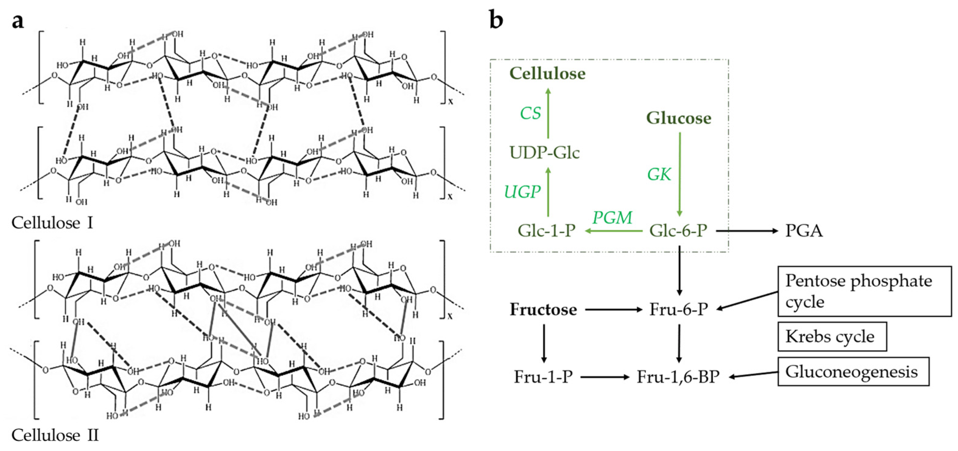 Polymers 15 03466 g002 Polymers 15 03466 g002