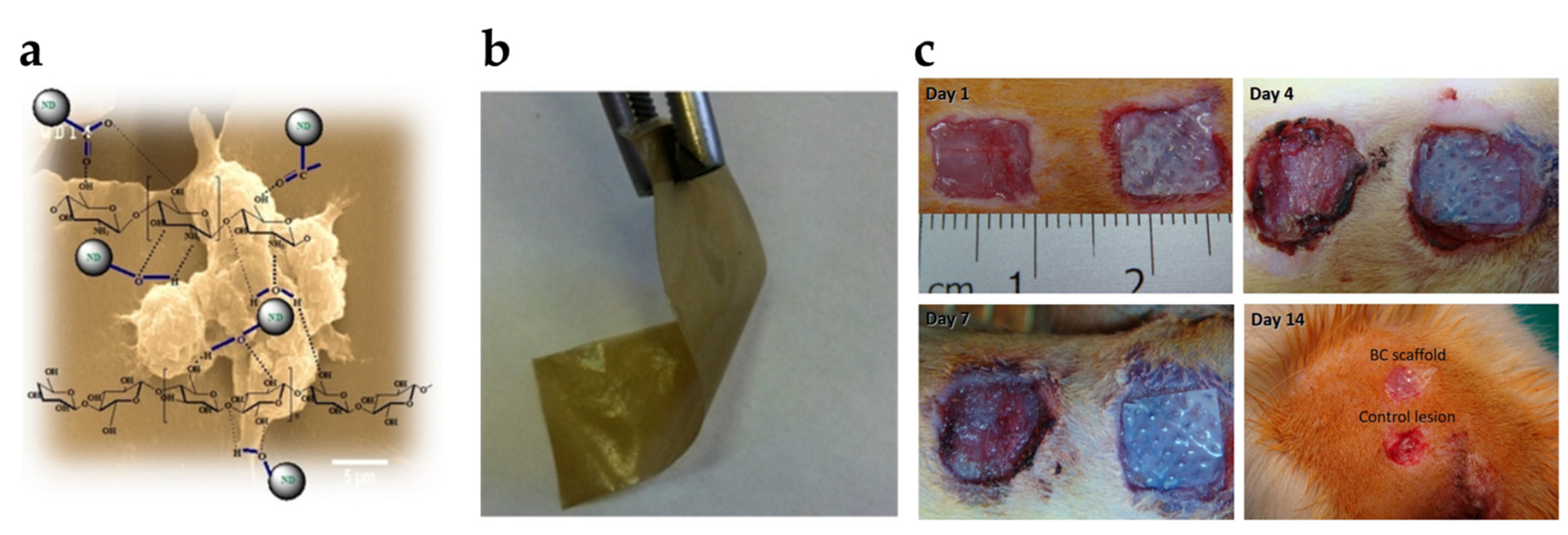 Polymers 15 03466 g007 Polymers 15 03466 g007
