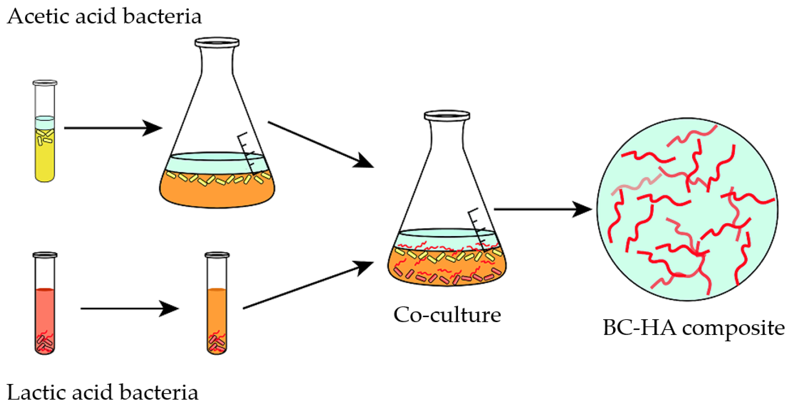 Polymers 15 03466 g010 Polymers 15 03466 g010