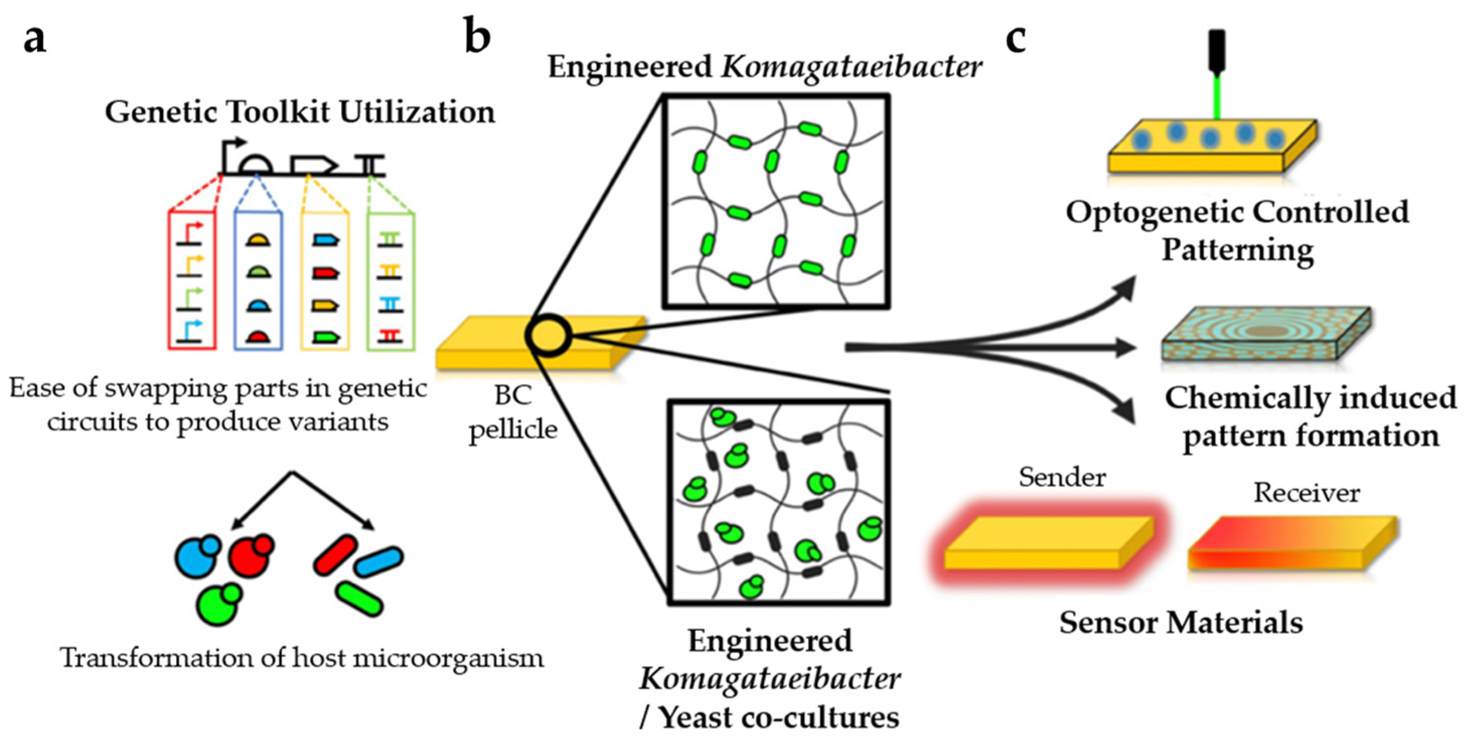 Polymers 15 03466 g012 Polymers 15 03466 g012