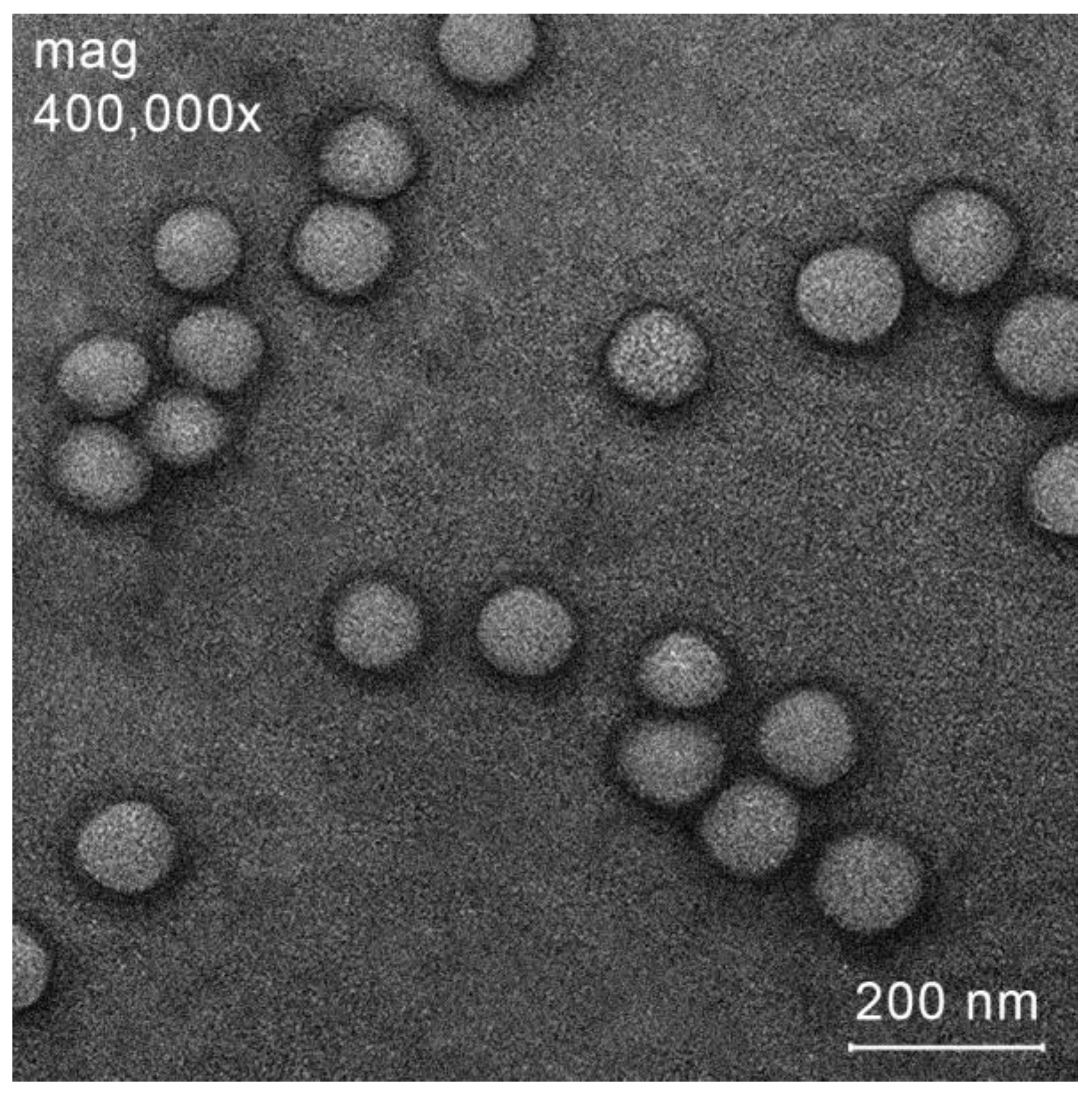 Polymers 15 03469 g002