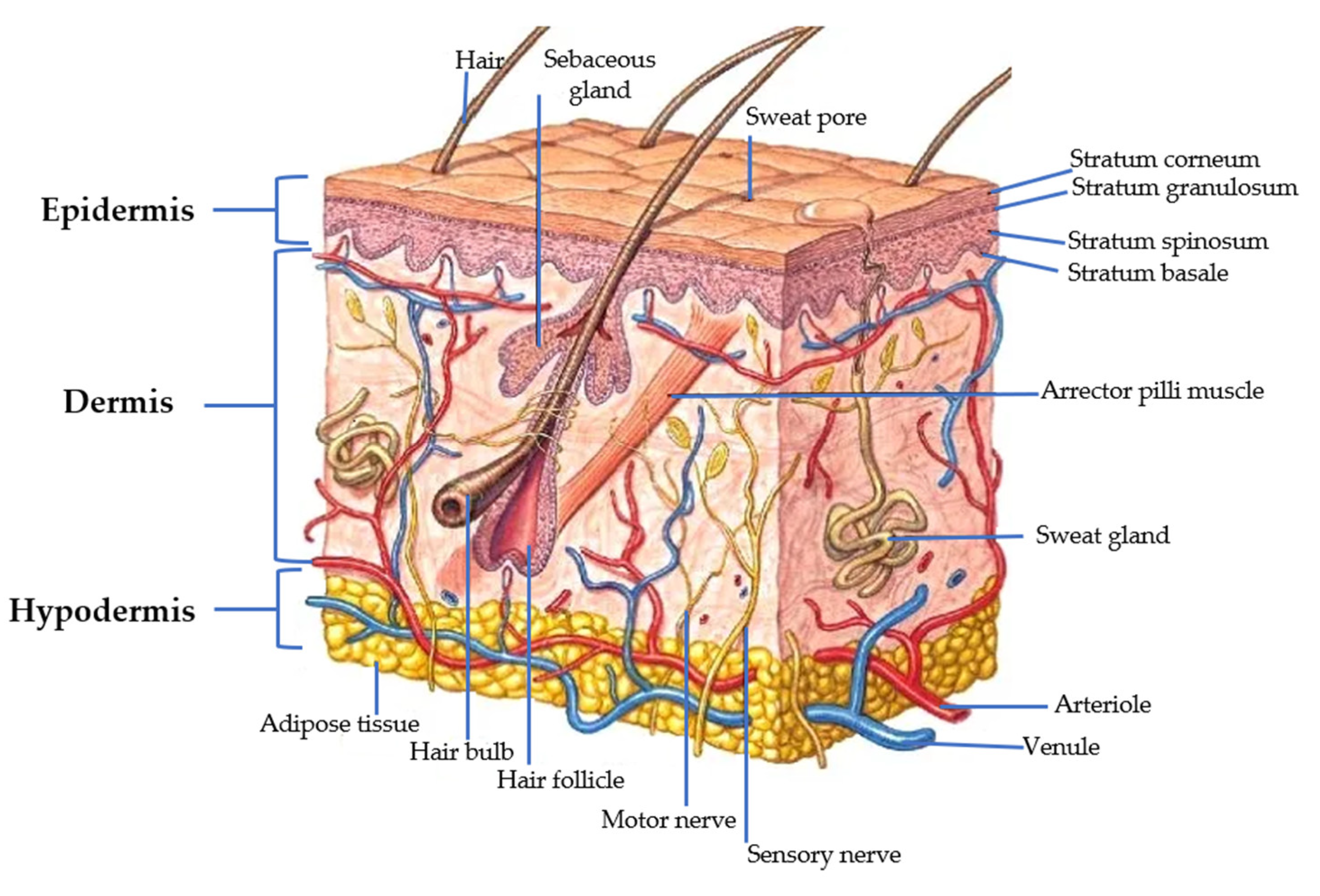 Polymers 15 03473 g002