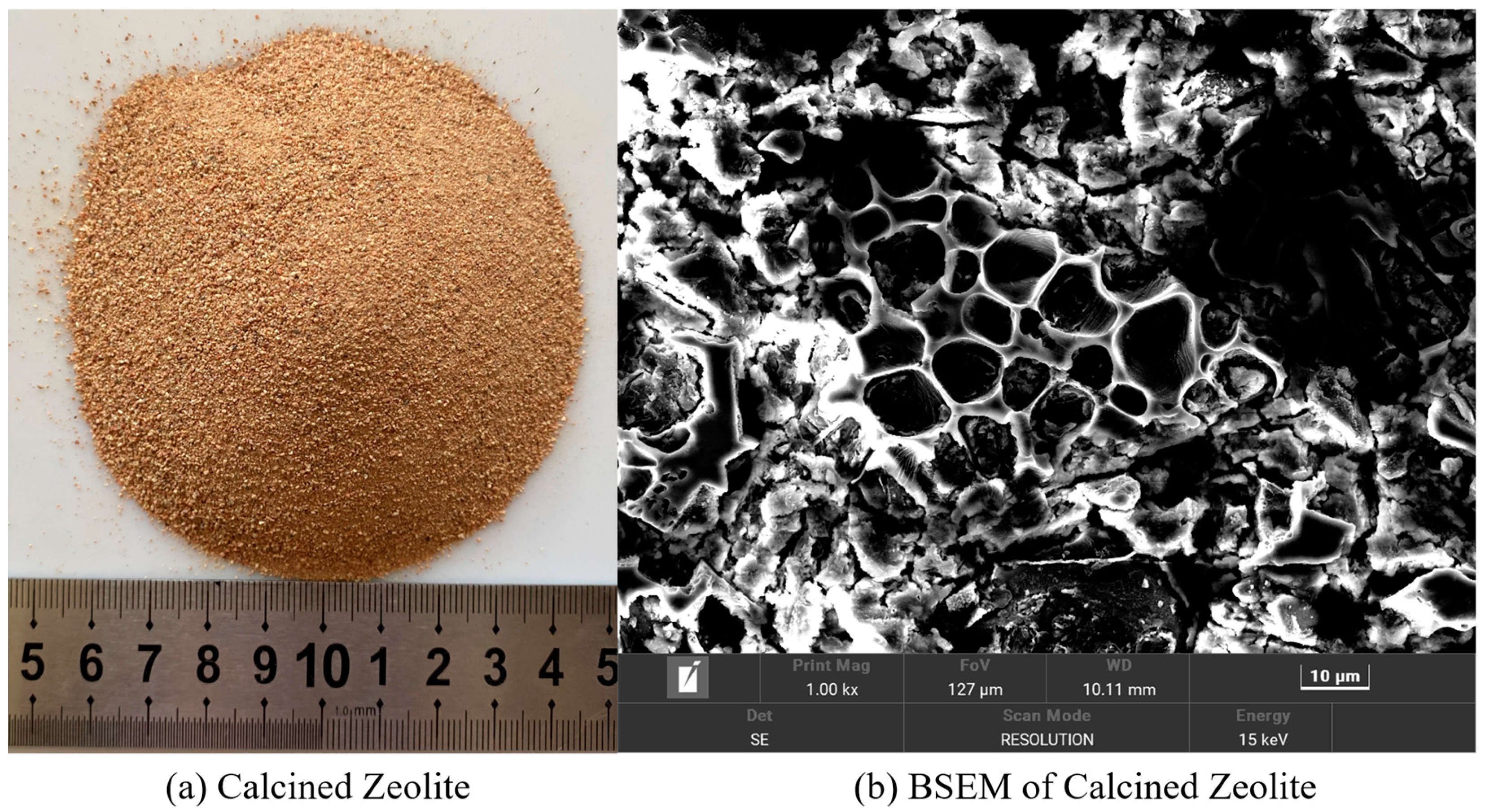 Polymers 15 03474 g002