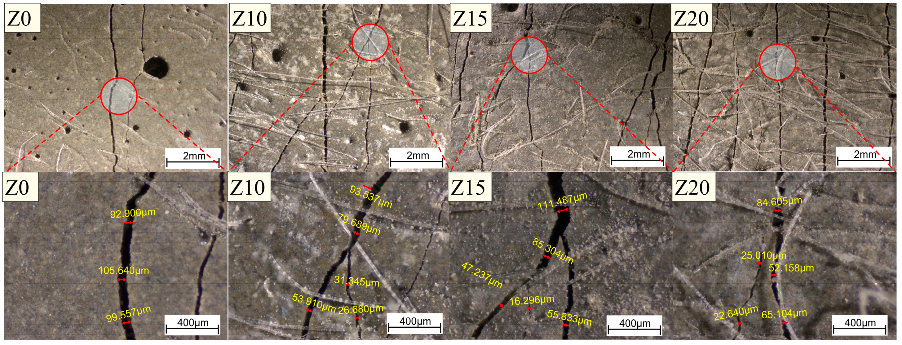 Polymers 15 03474 g012