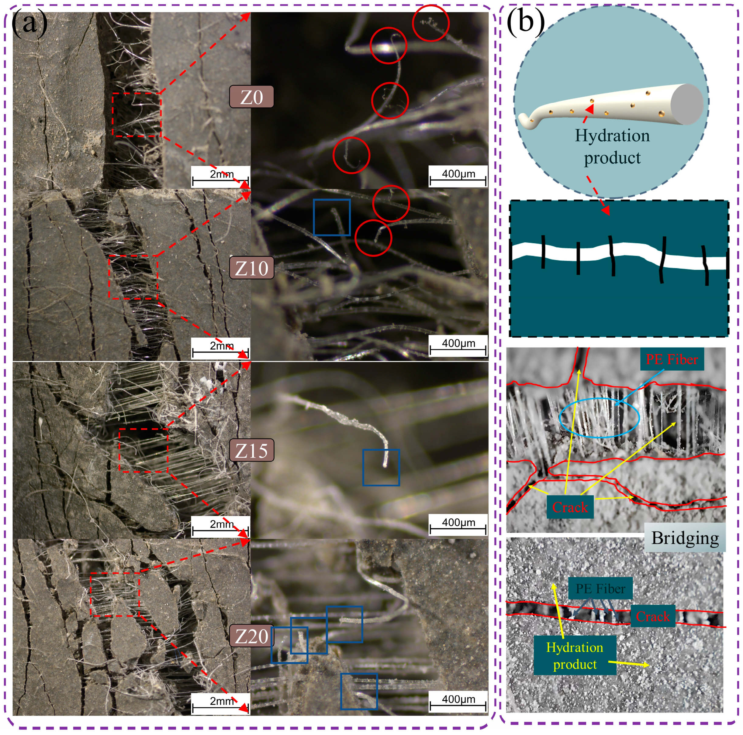 Polymers 15 03474 g016