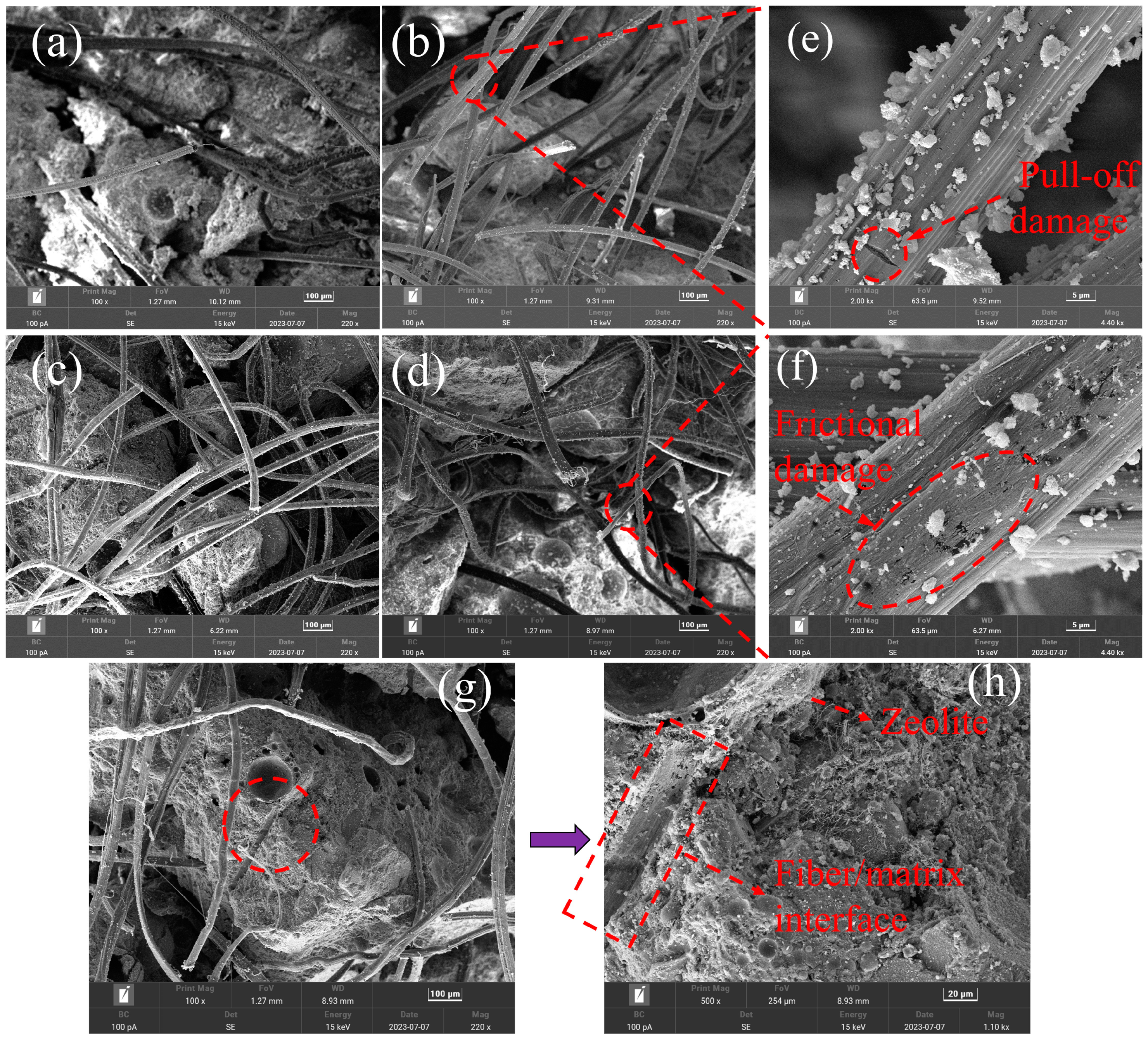 Polymers 15 03474 g017