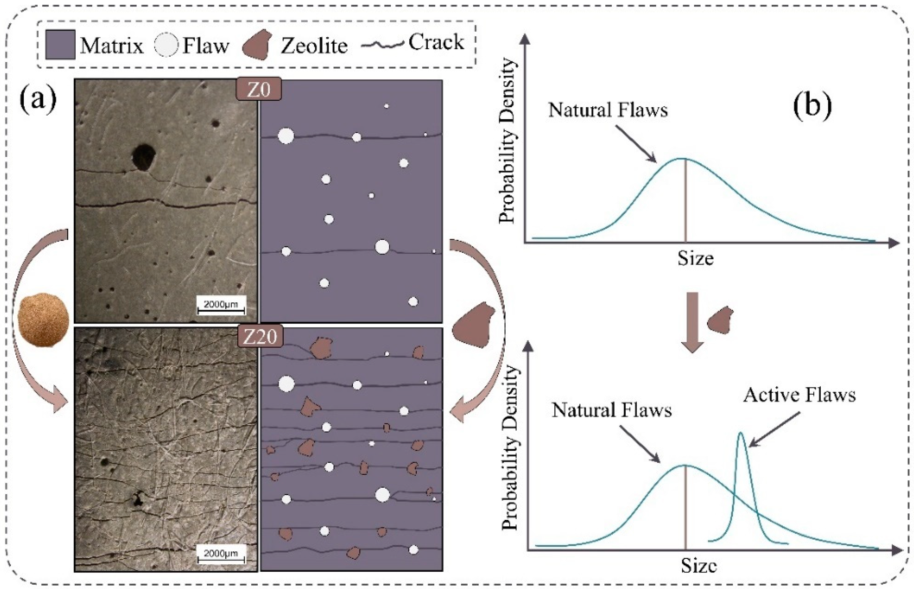 Polymers 15 03474 g019