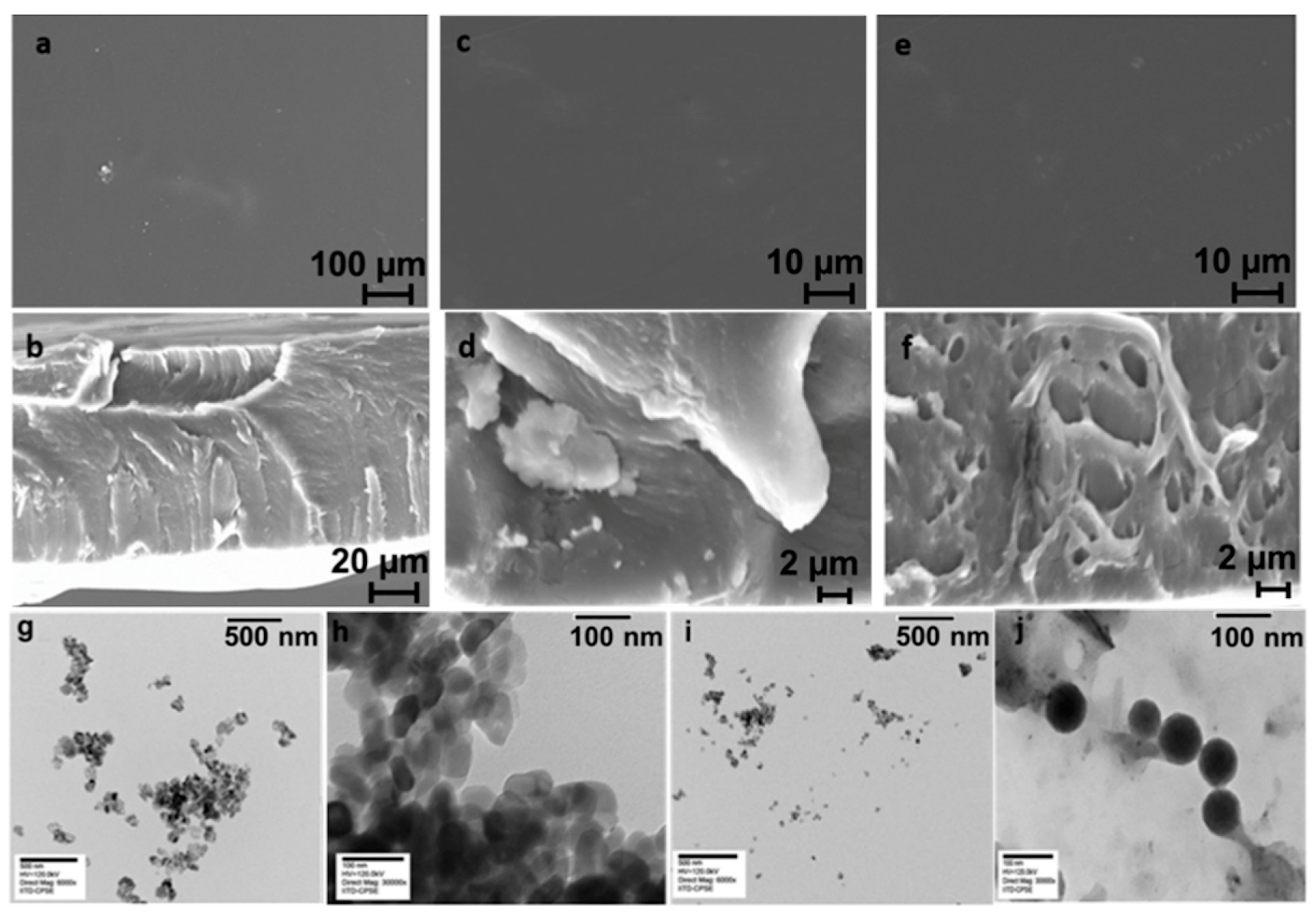 Polymers 15 03477 g006