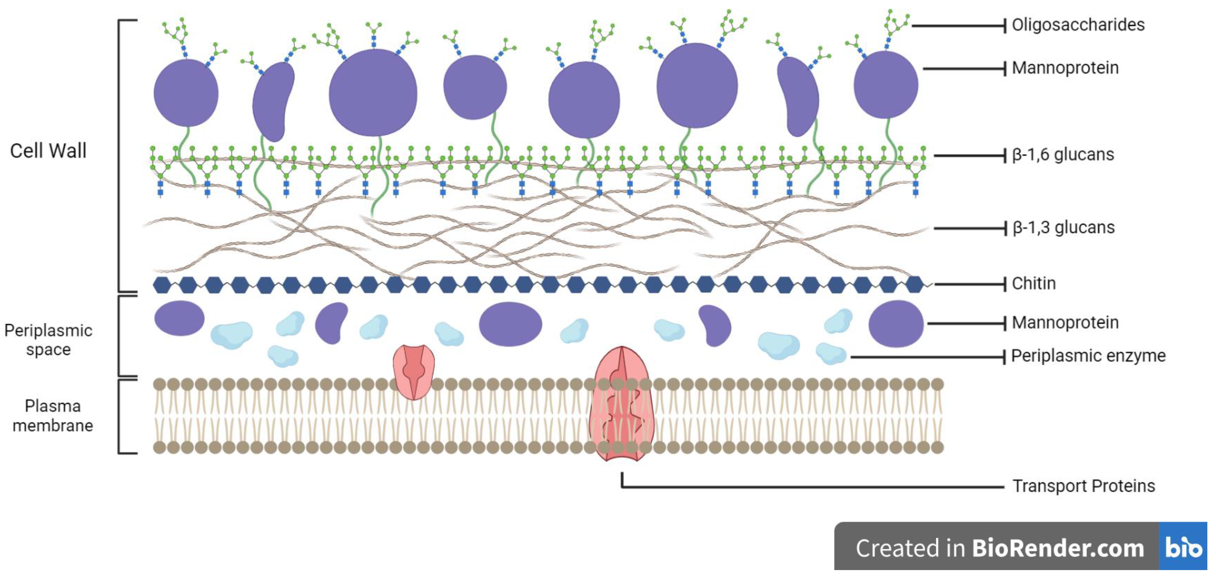 Polymers 15 03481 g001 Polymers 15 03481 g001