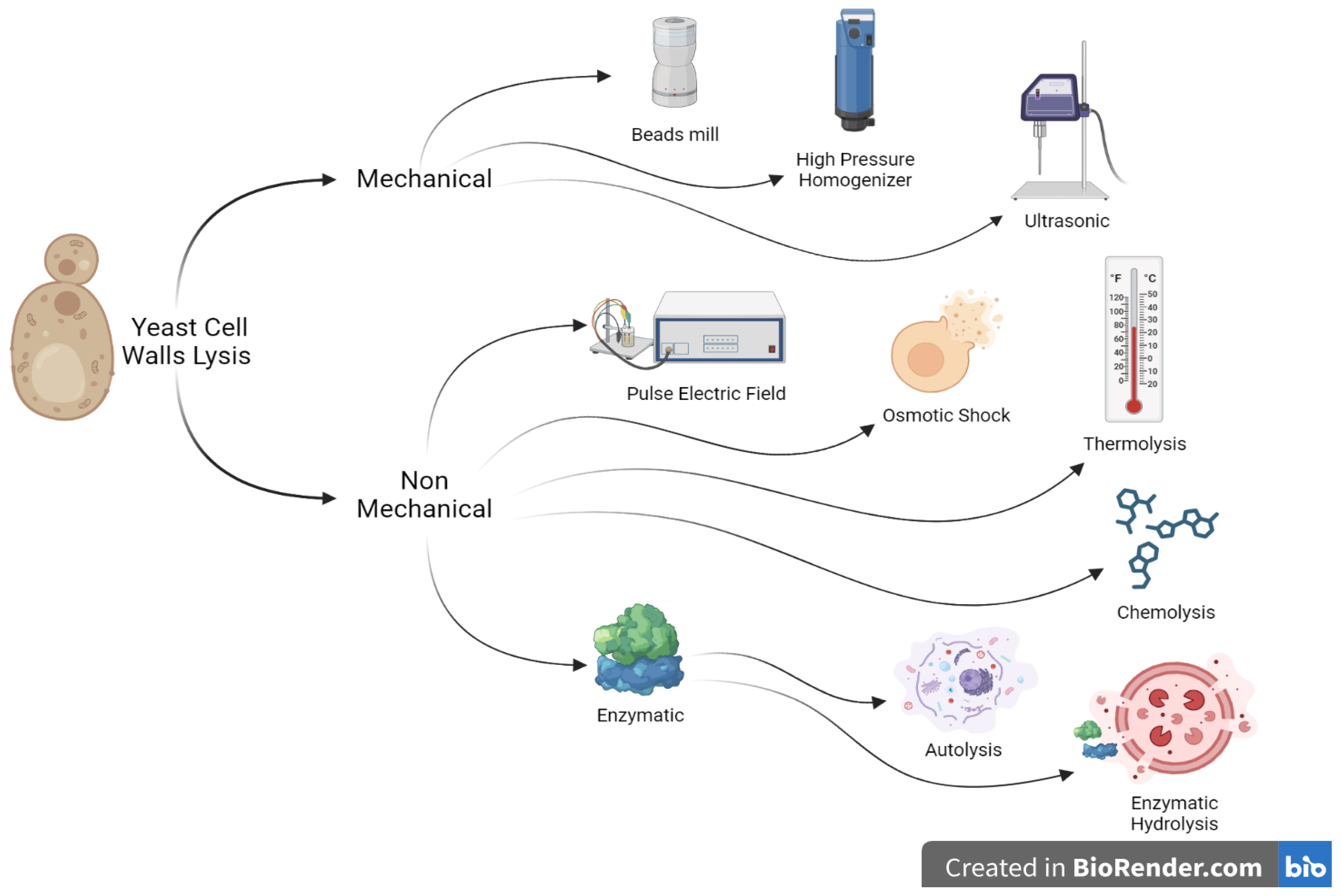 Polymers 15 03481 g002 Polymers 15 03481 g002