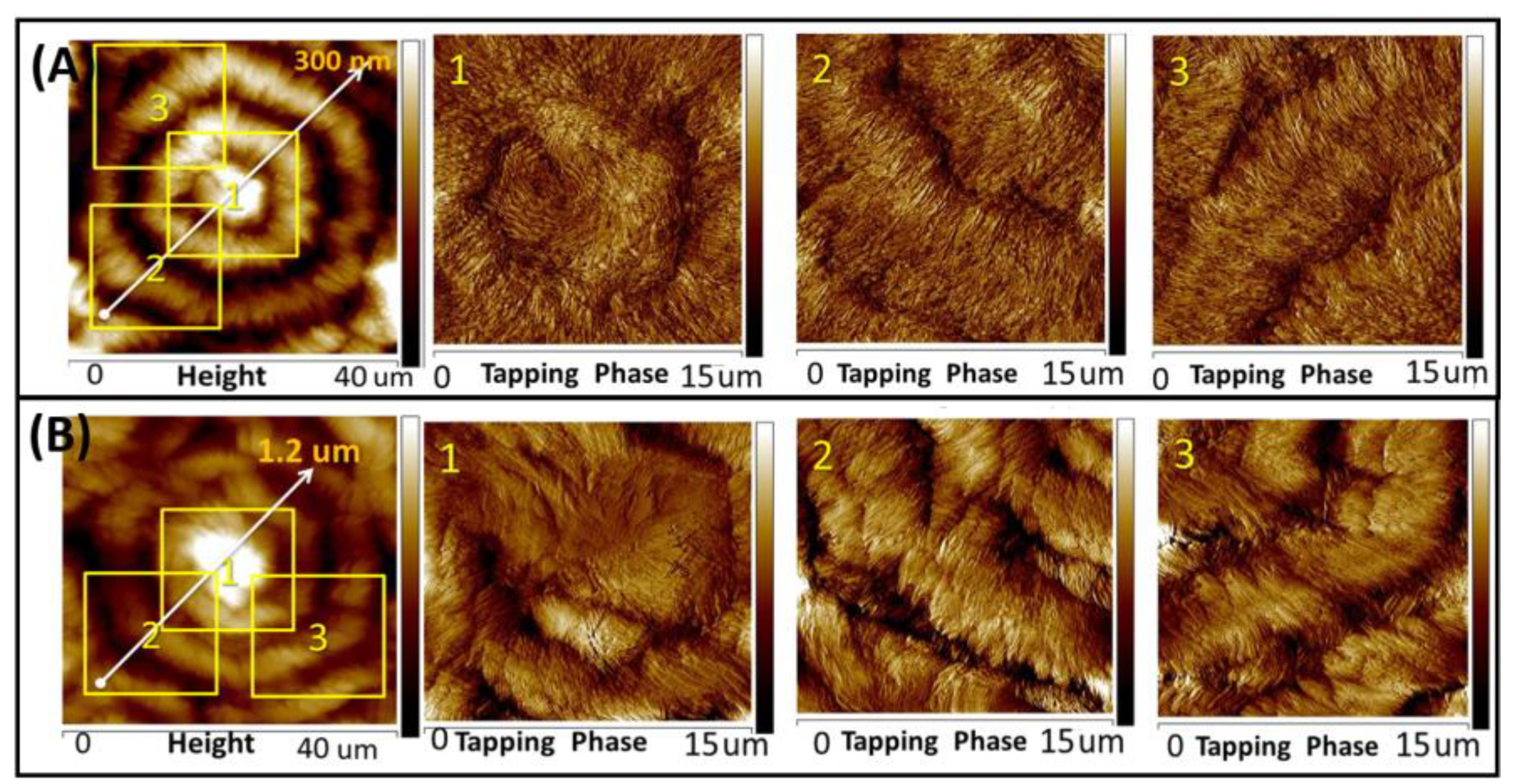 Polymers 15 03484 g001