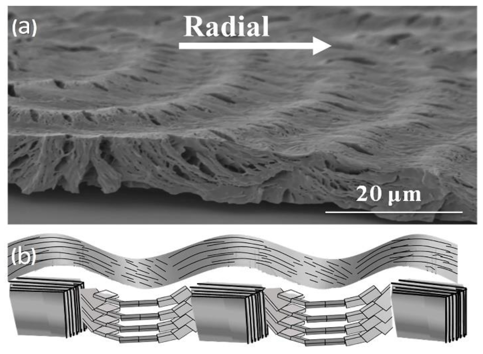 Polymers 15 03484 g003