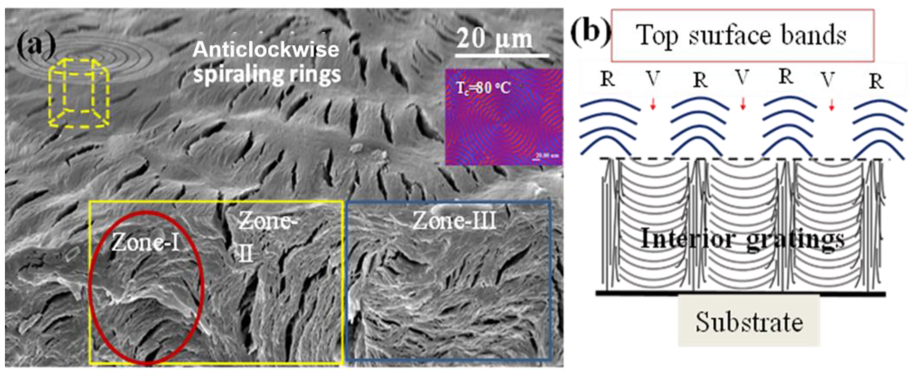 Polymers 15 03484 g004