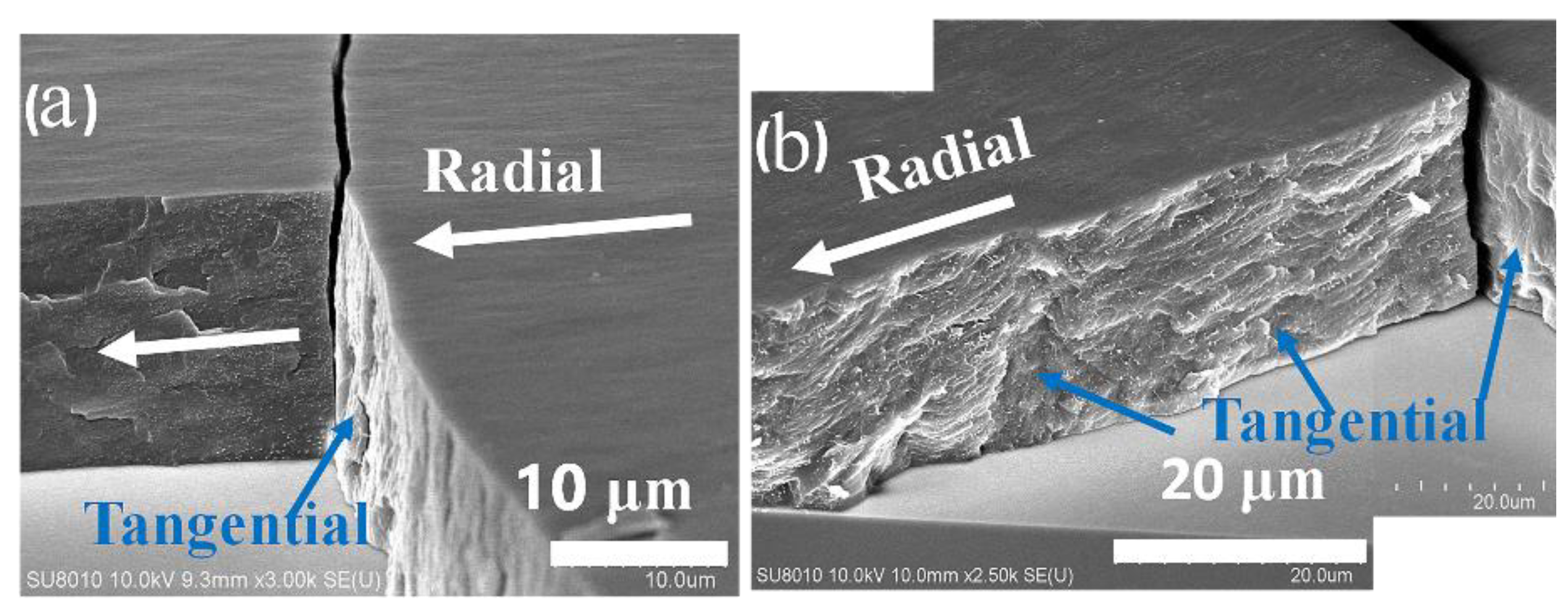Polymers 15 03484 g005