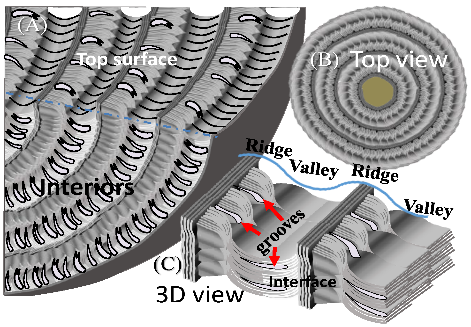 Polymers 15 03484 g006