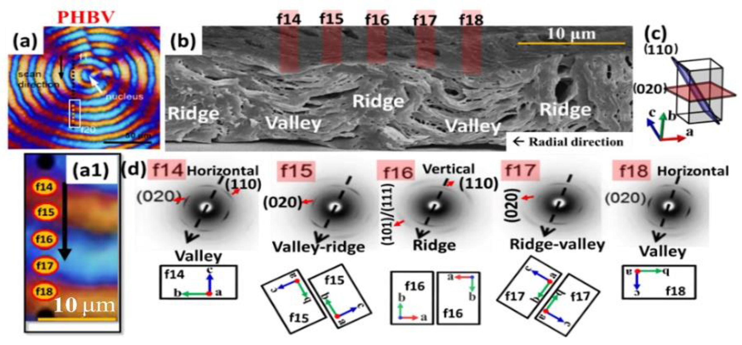 Polymers 15 03484 g008