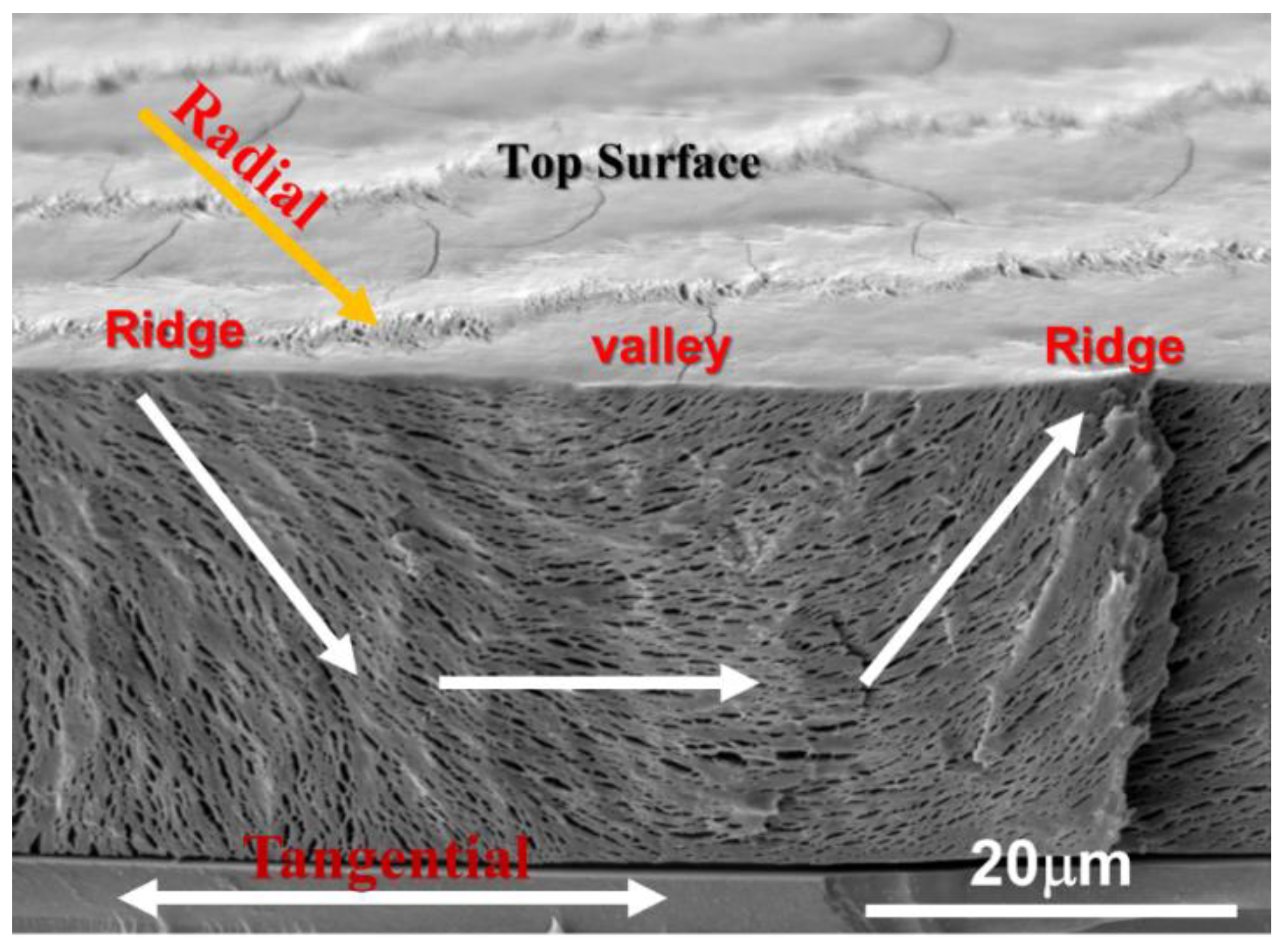 Polymers 15 03484 g009