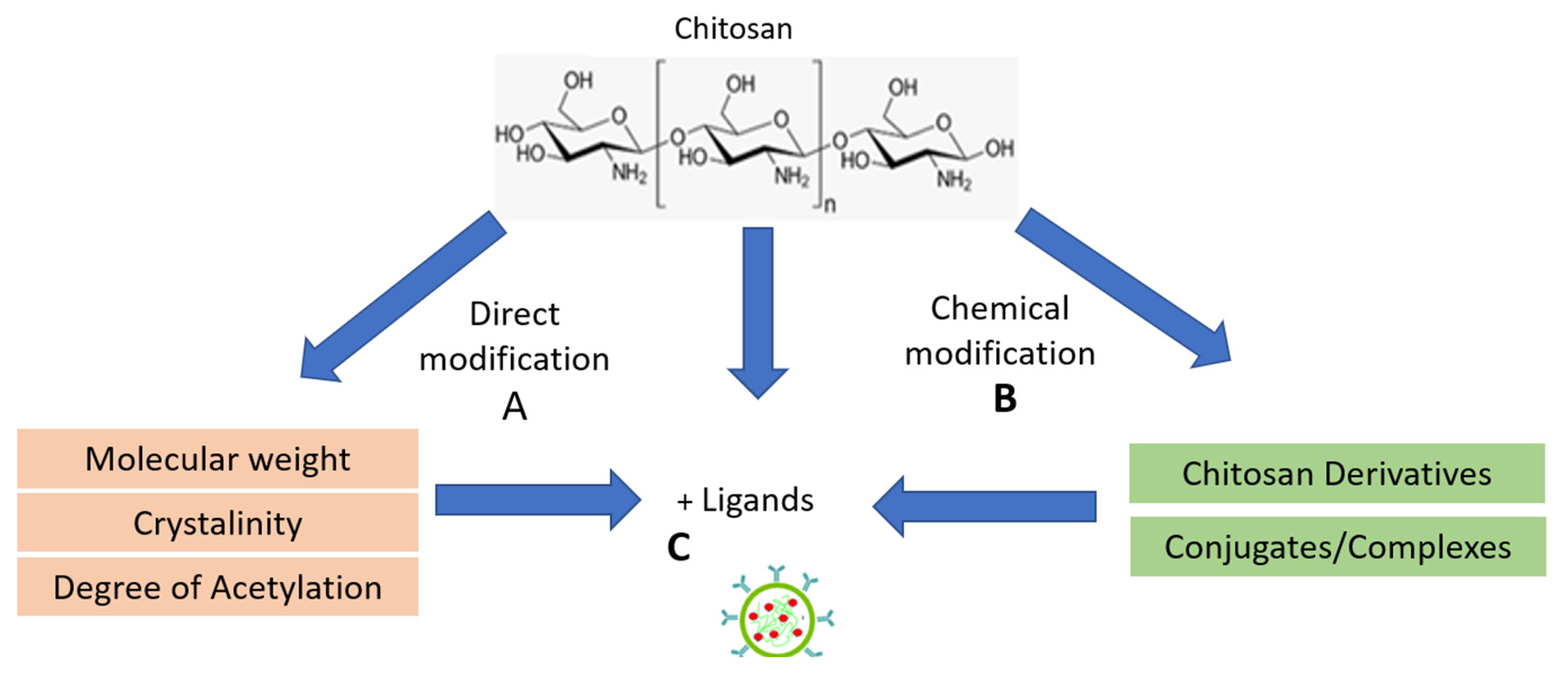 Polymers 15 03485 g003