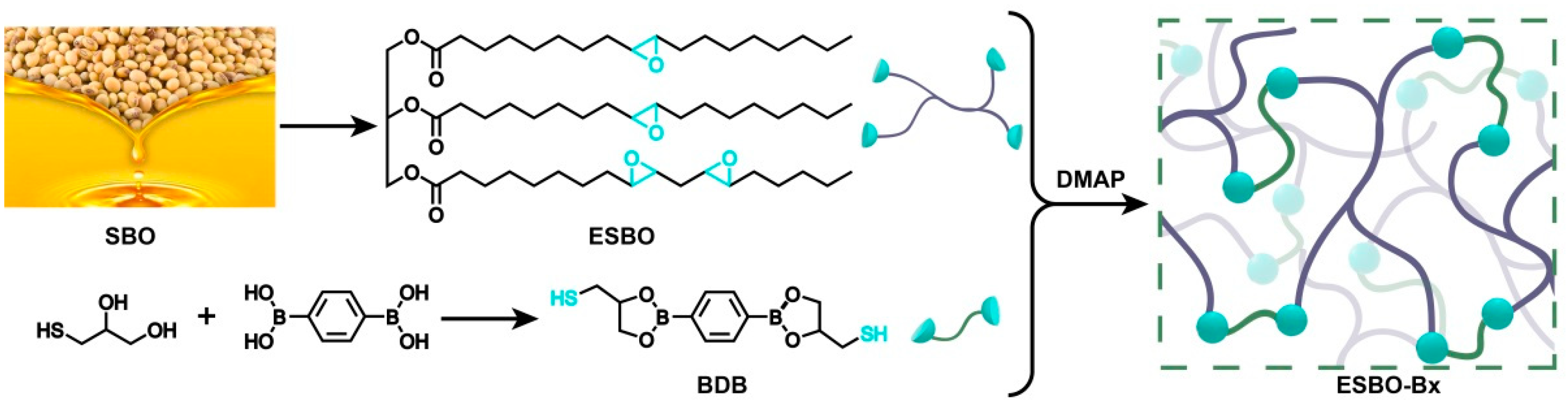 Polymers 15 03488 g001