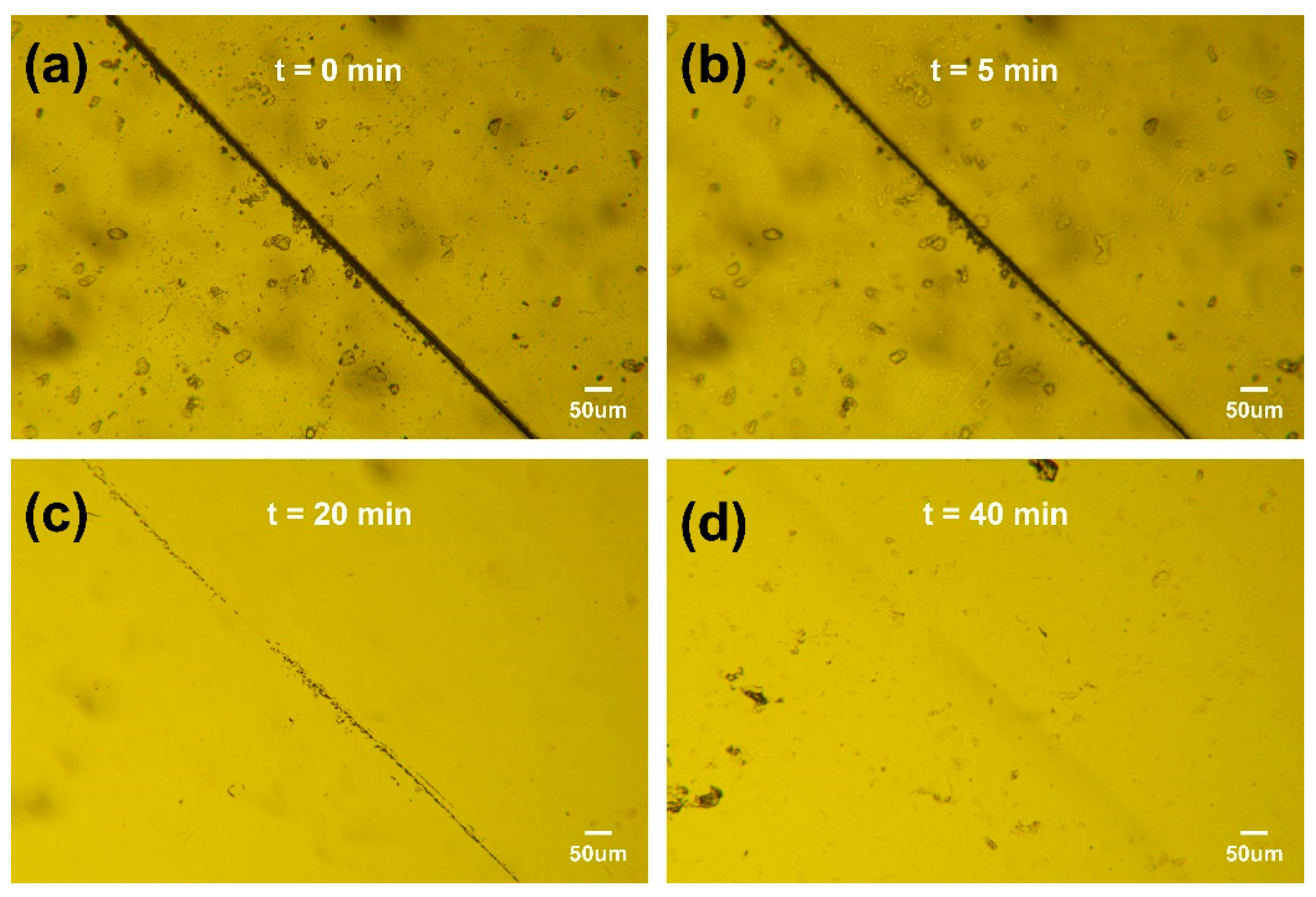 Polymers 15 03488 g005