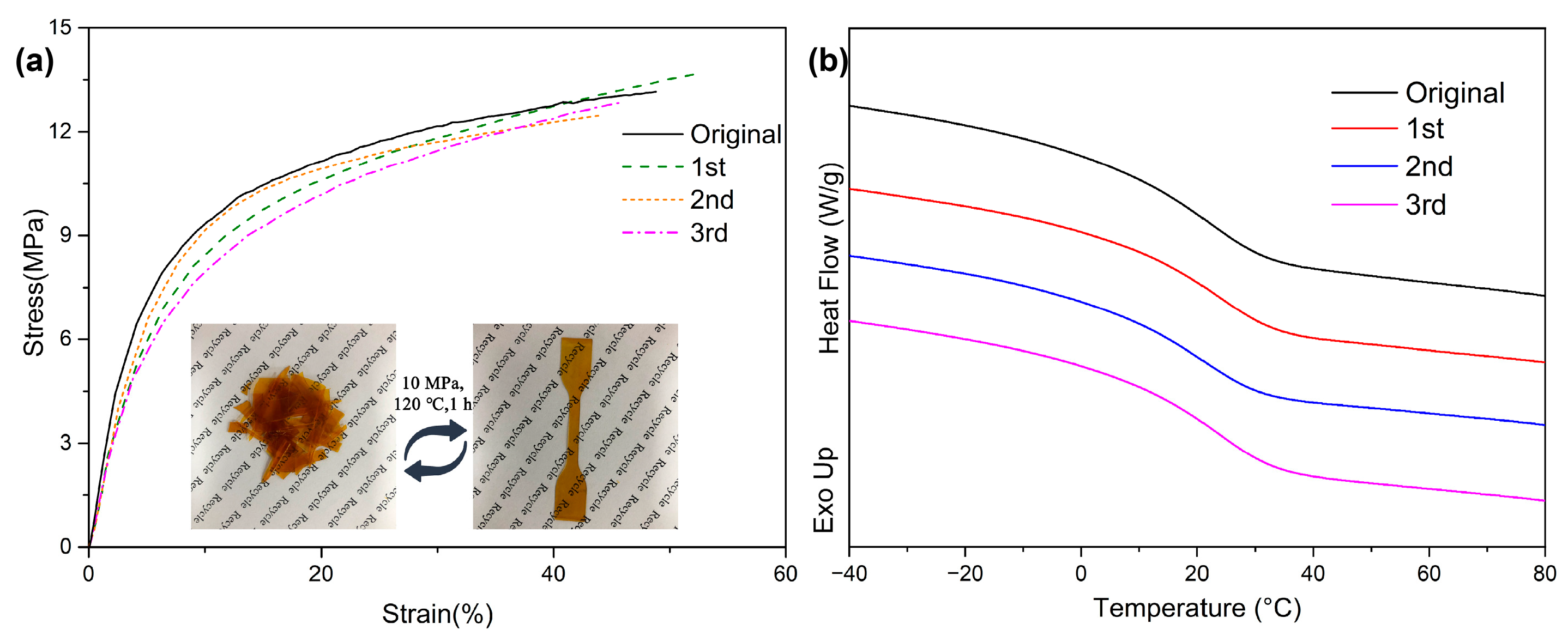 Polymers 15 03488 g006