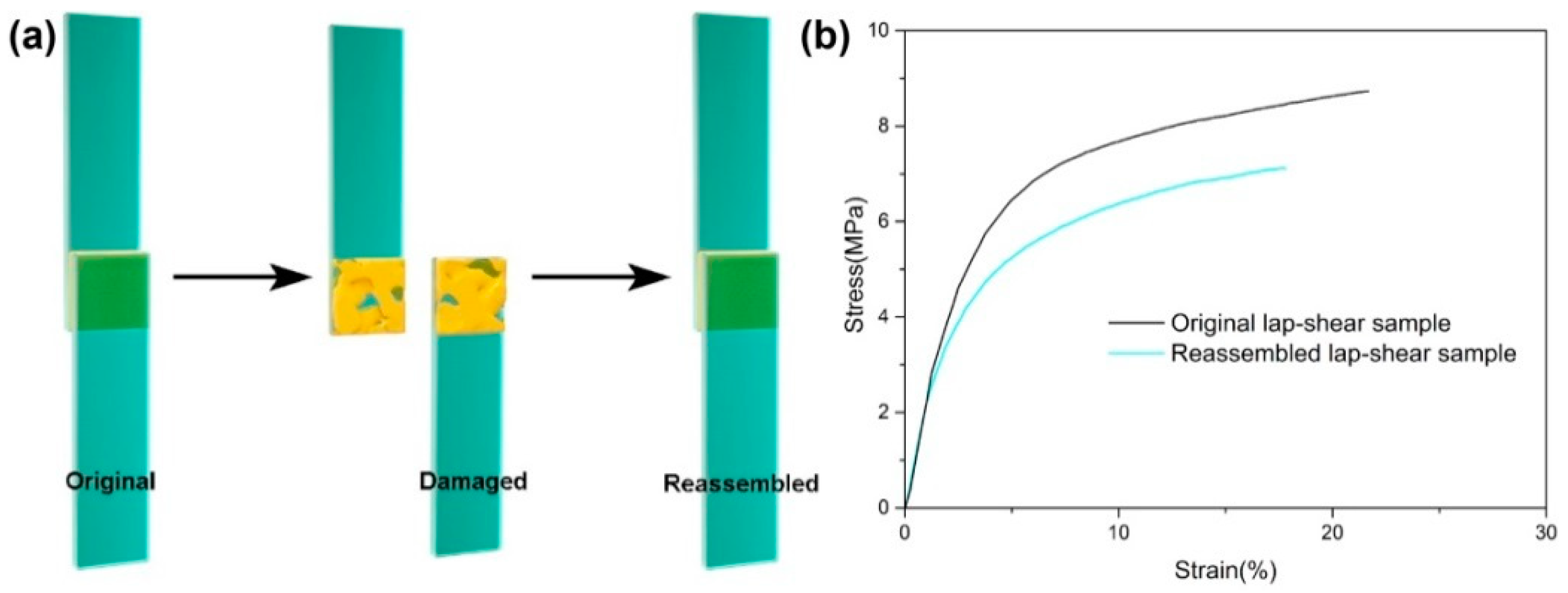 Polymers 15 03488 g007