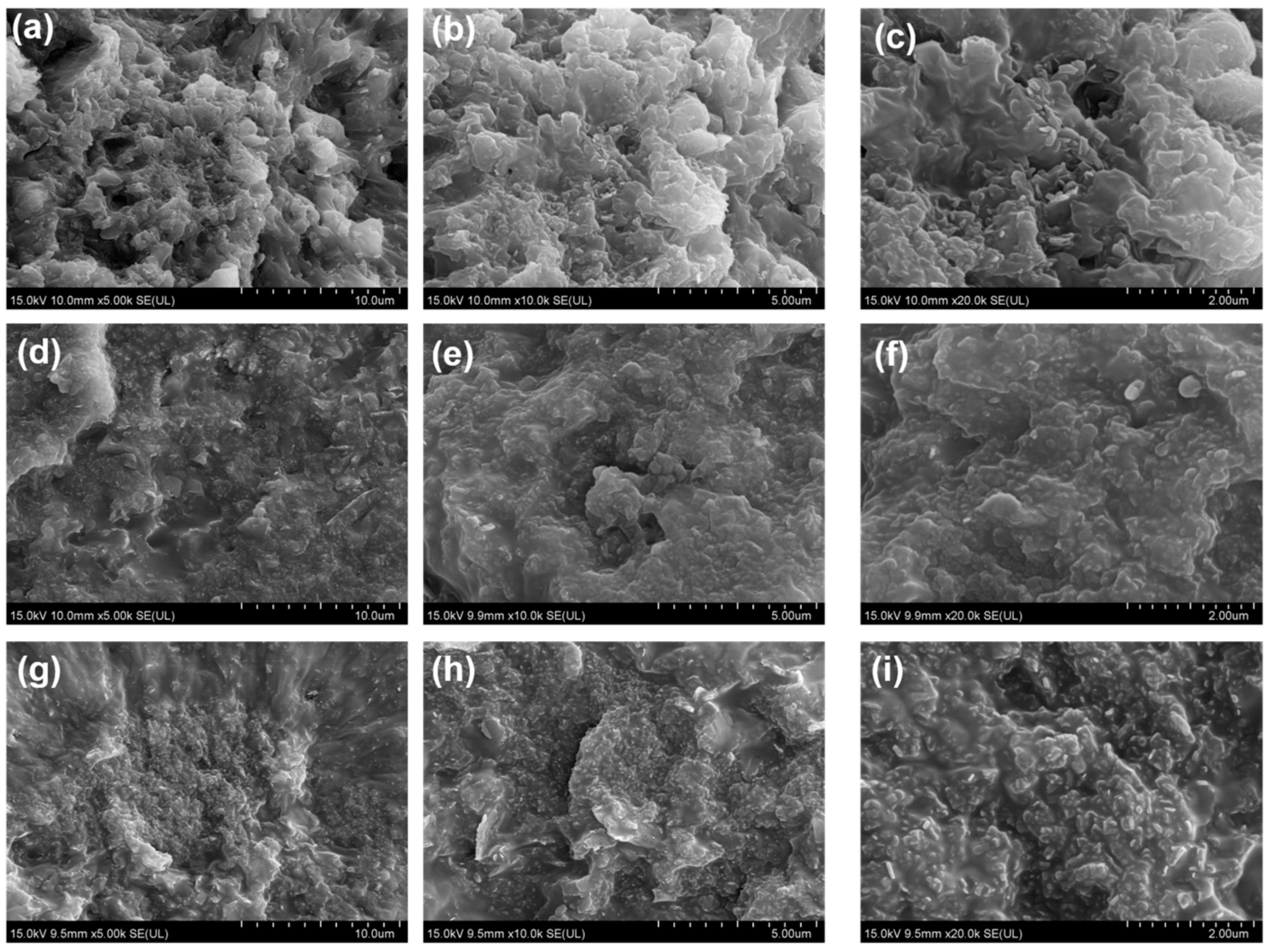 Polymers 15 03489 g009