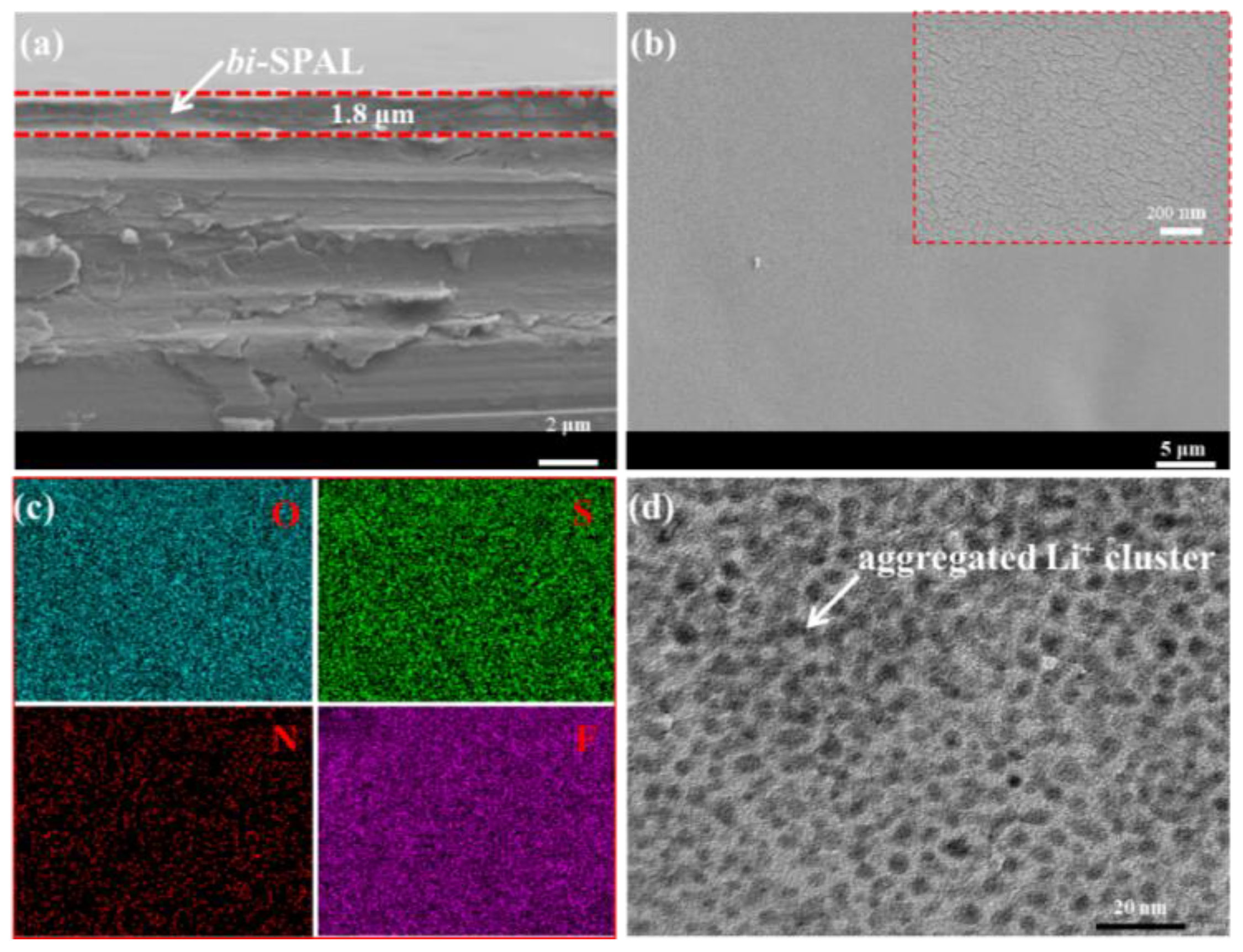 Polymers 15 03490 g003