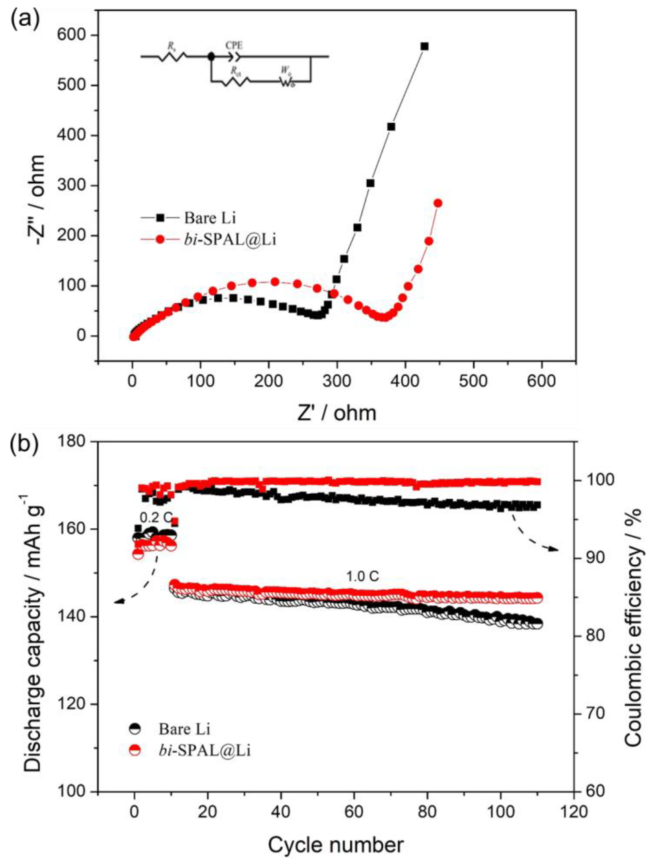Polymers 15 03490 g005