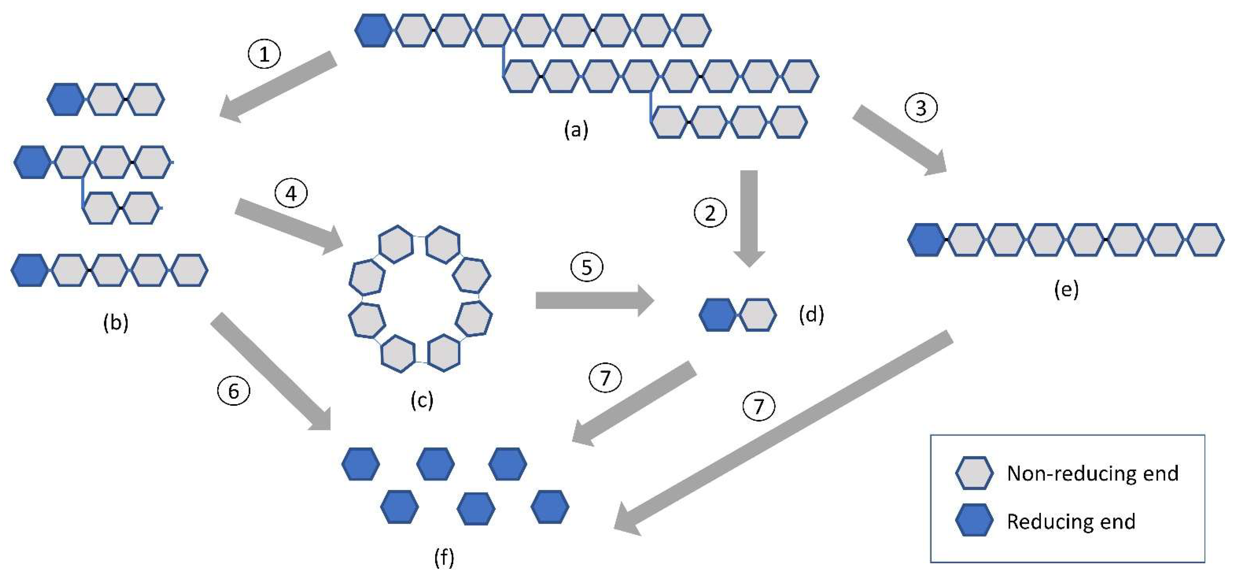 Polymers 15 03491 g002