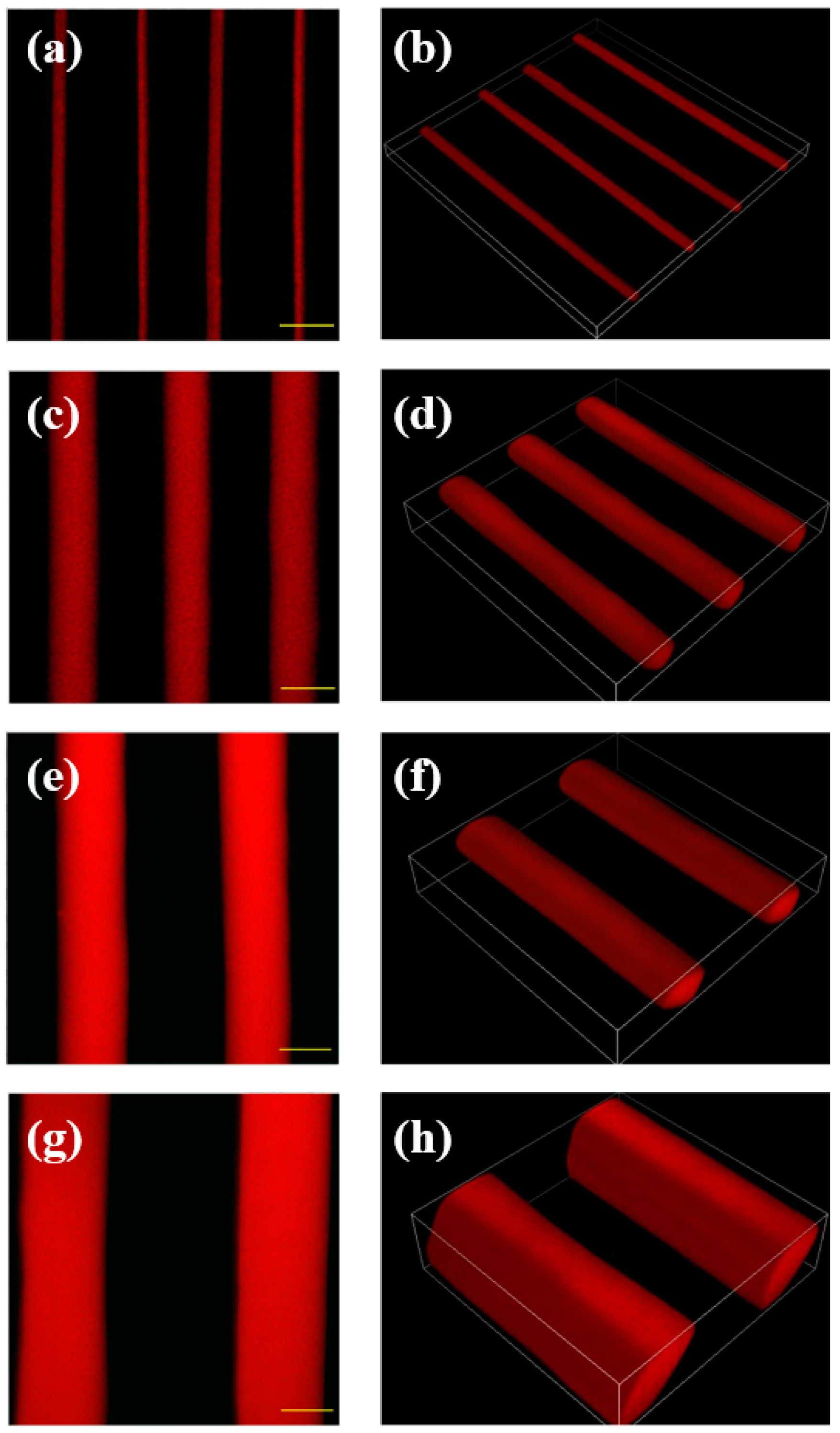 Polymers 15 03493 g003
