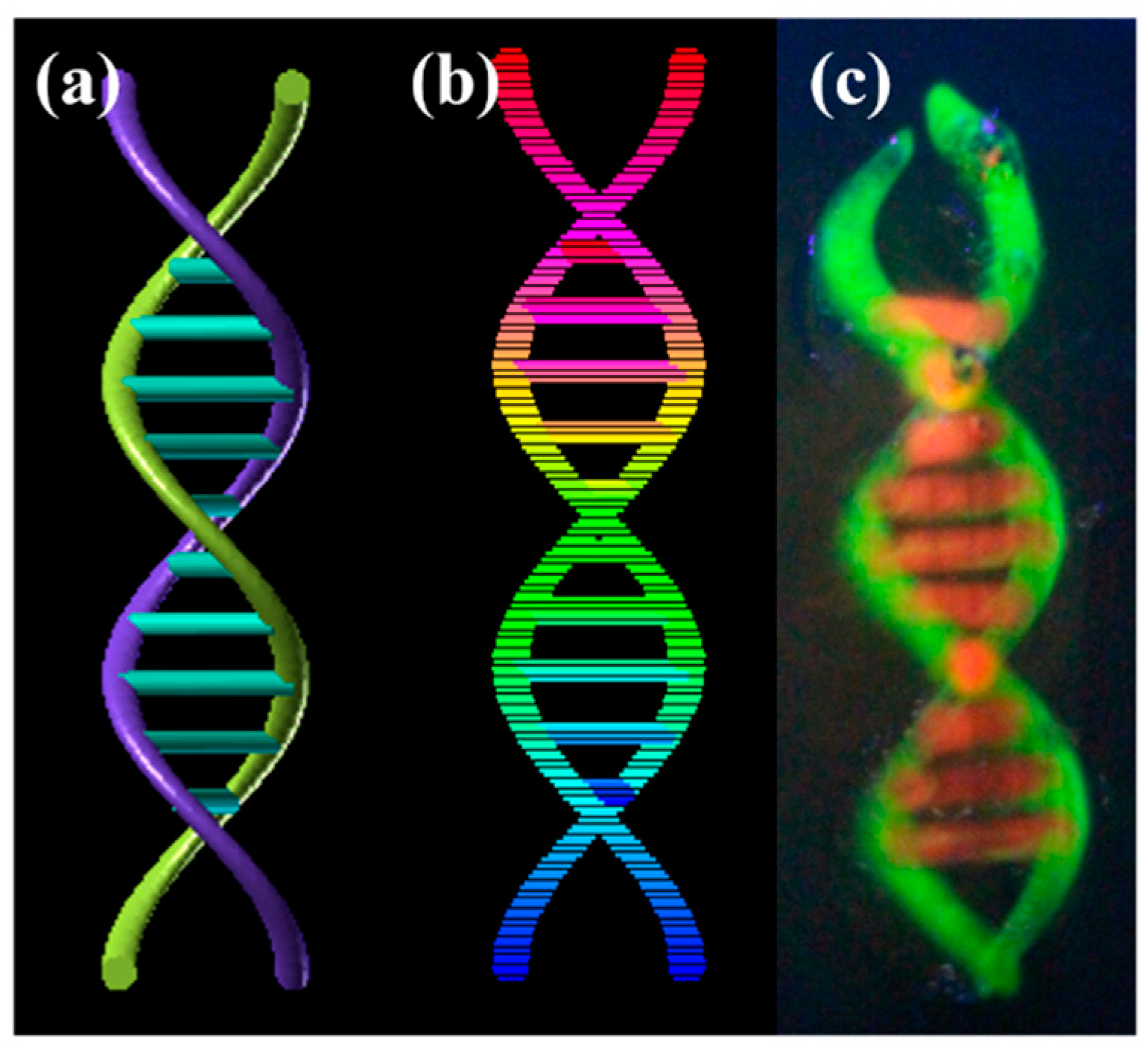 Polymers 15 03493 g010