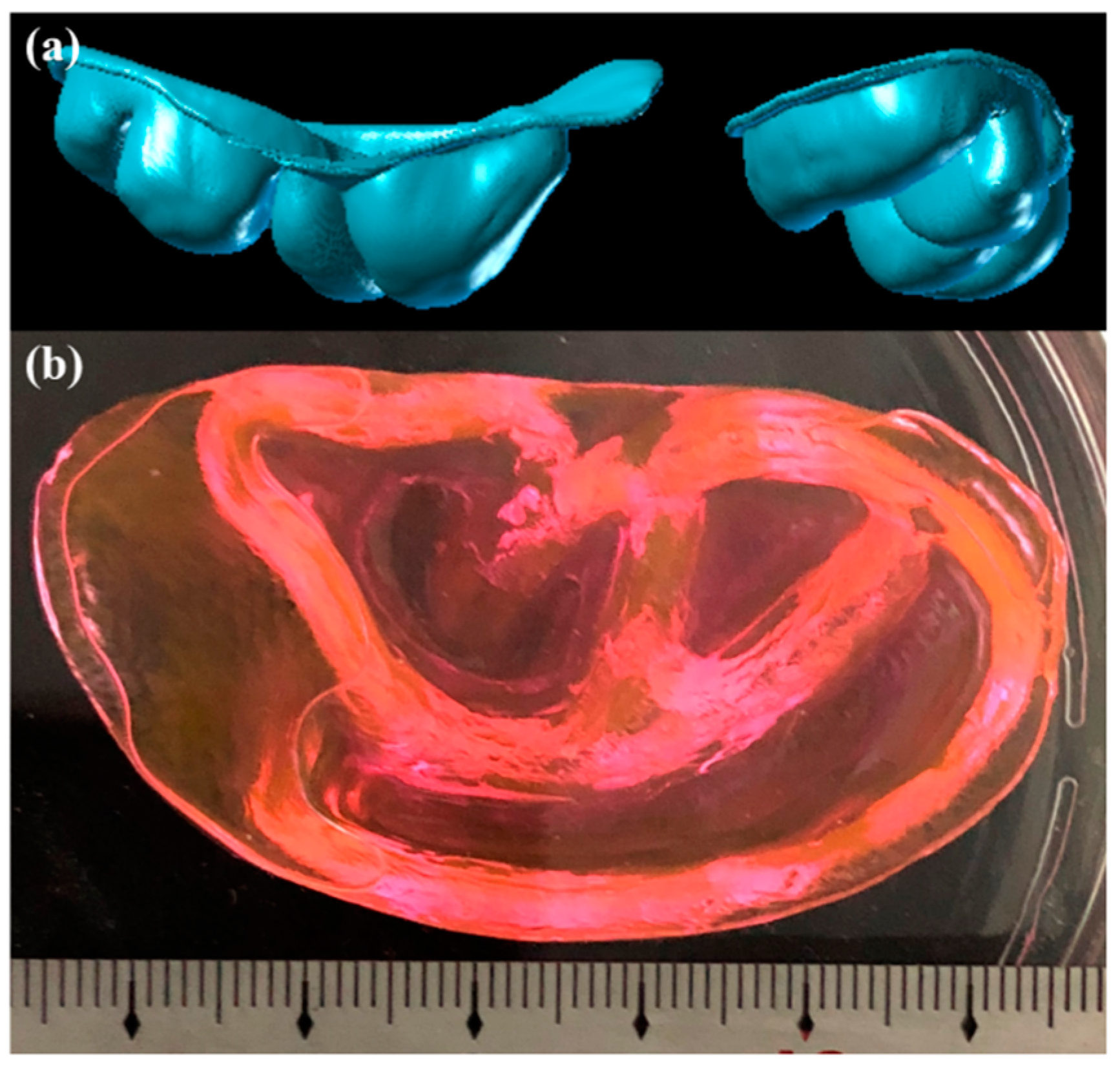 Polymers 15 03493 g012