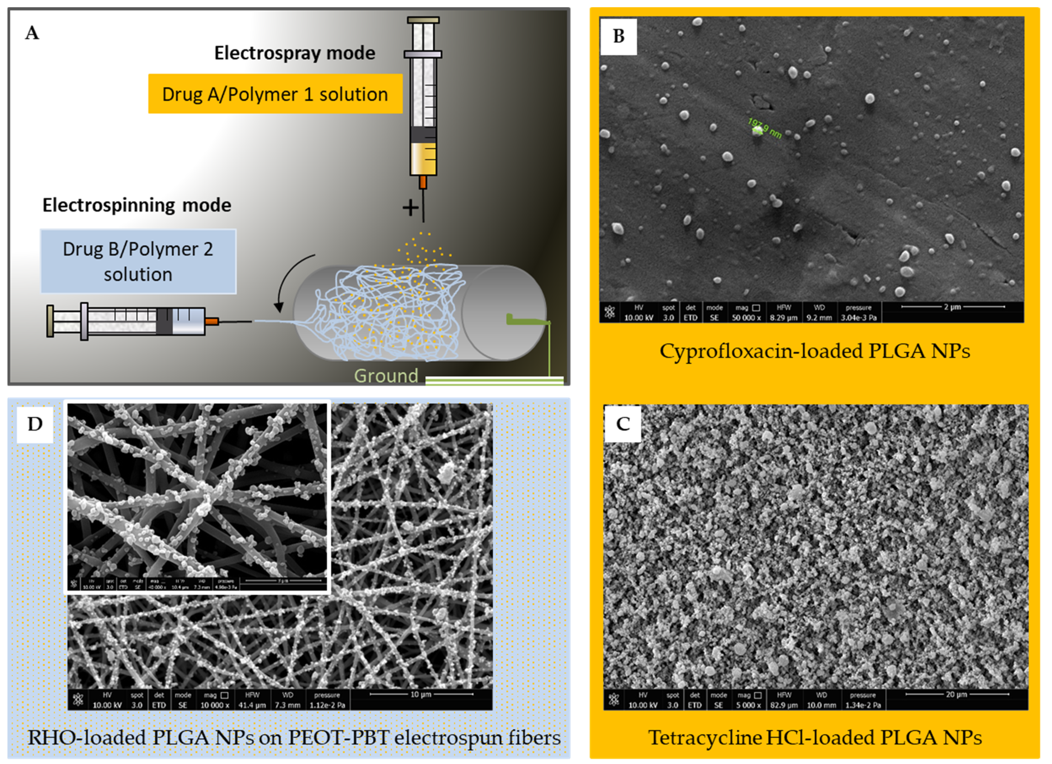 Polymers 15 03494 g001