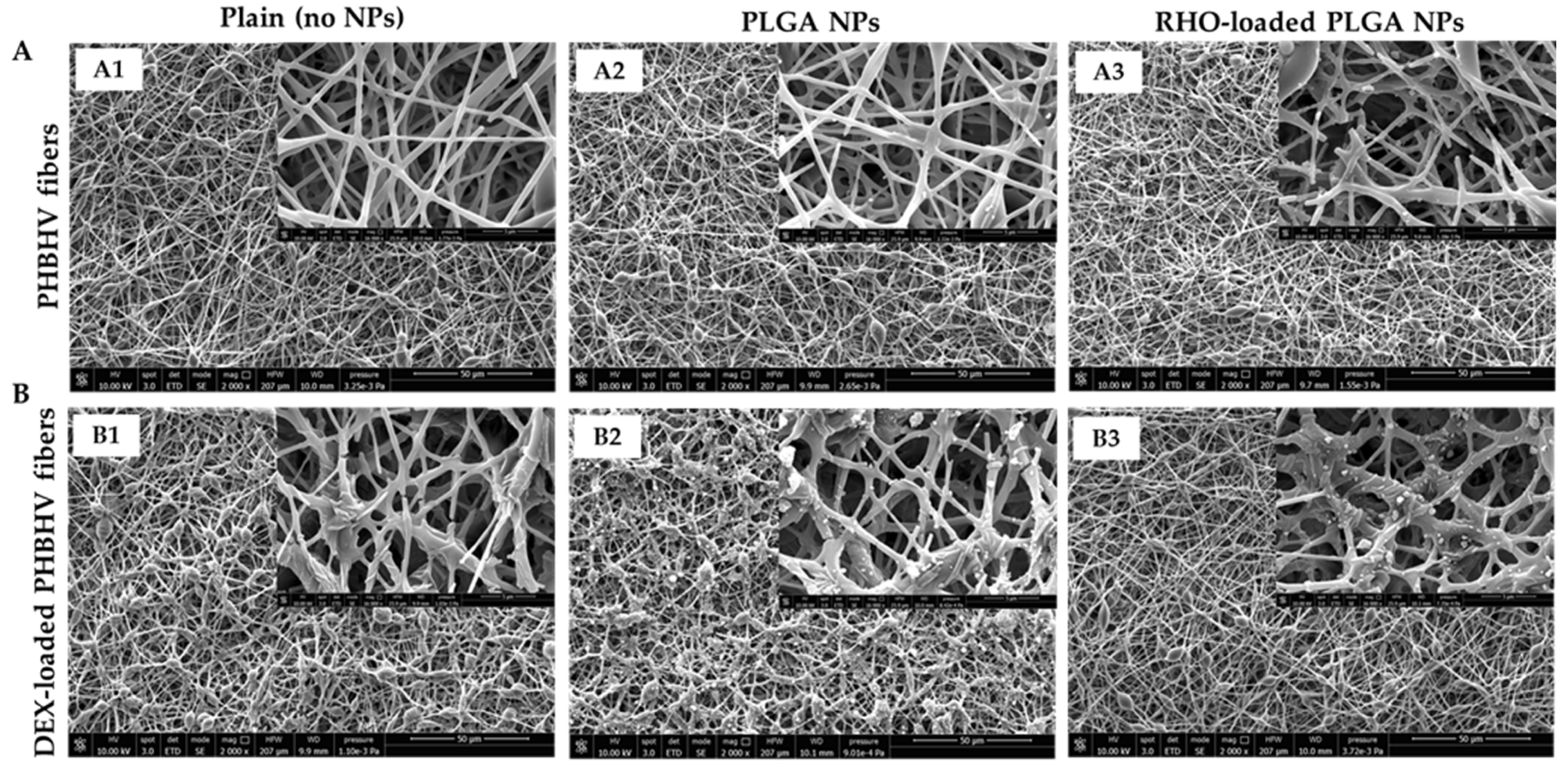 Polymers 15 03494 g003