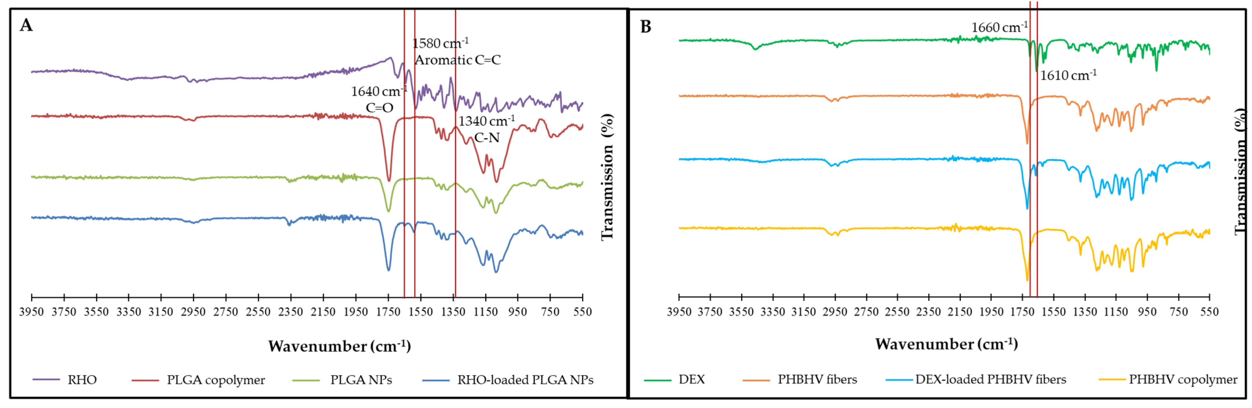 Polymers 15 03494 g004