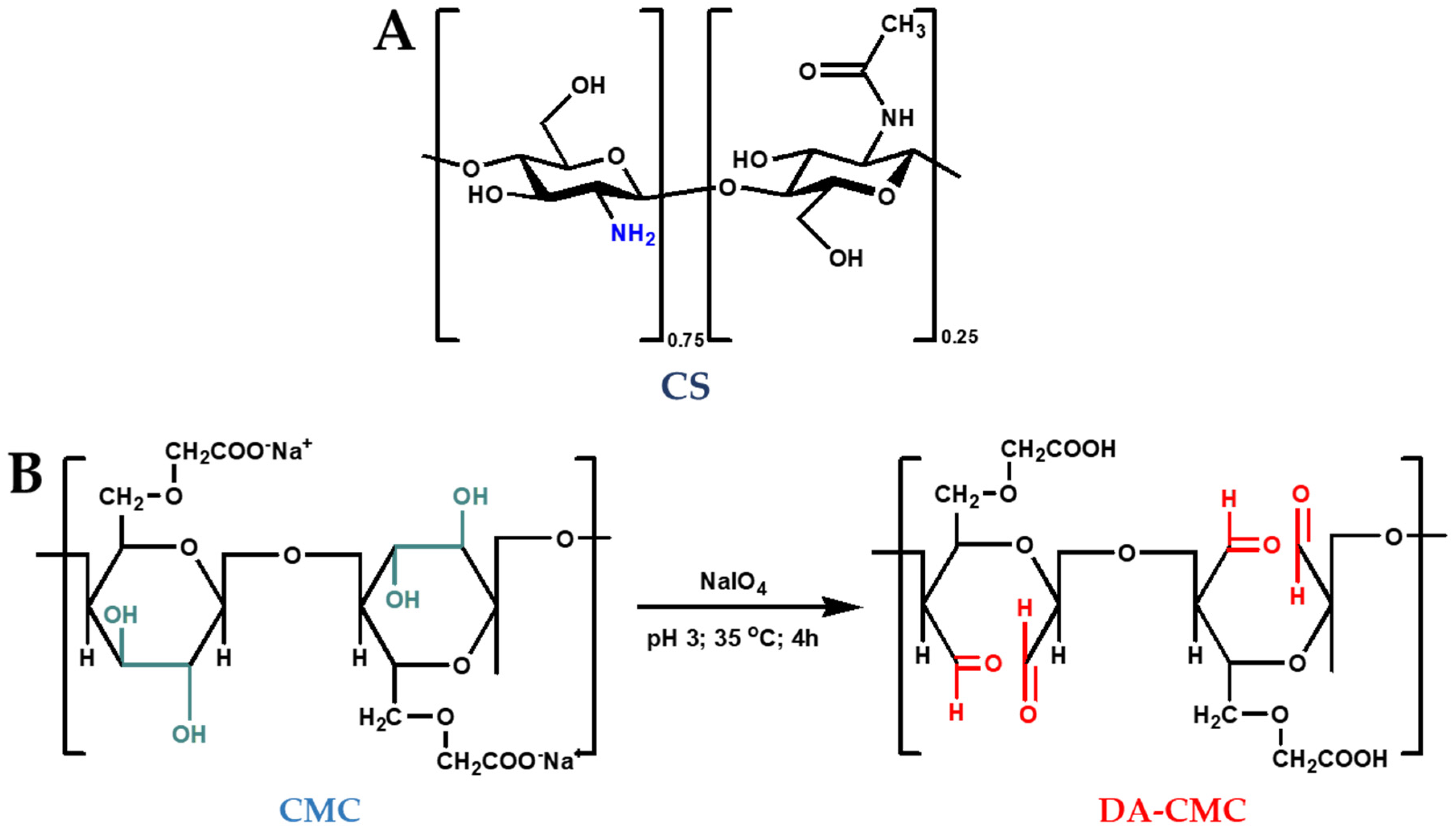 Polymers 15 03496 g001