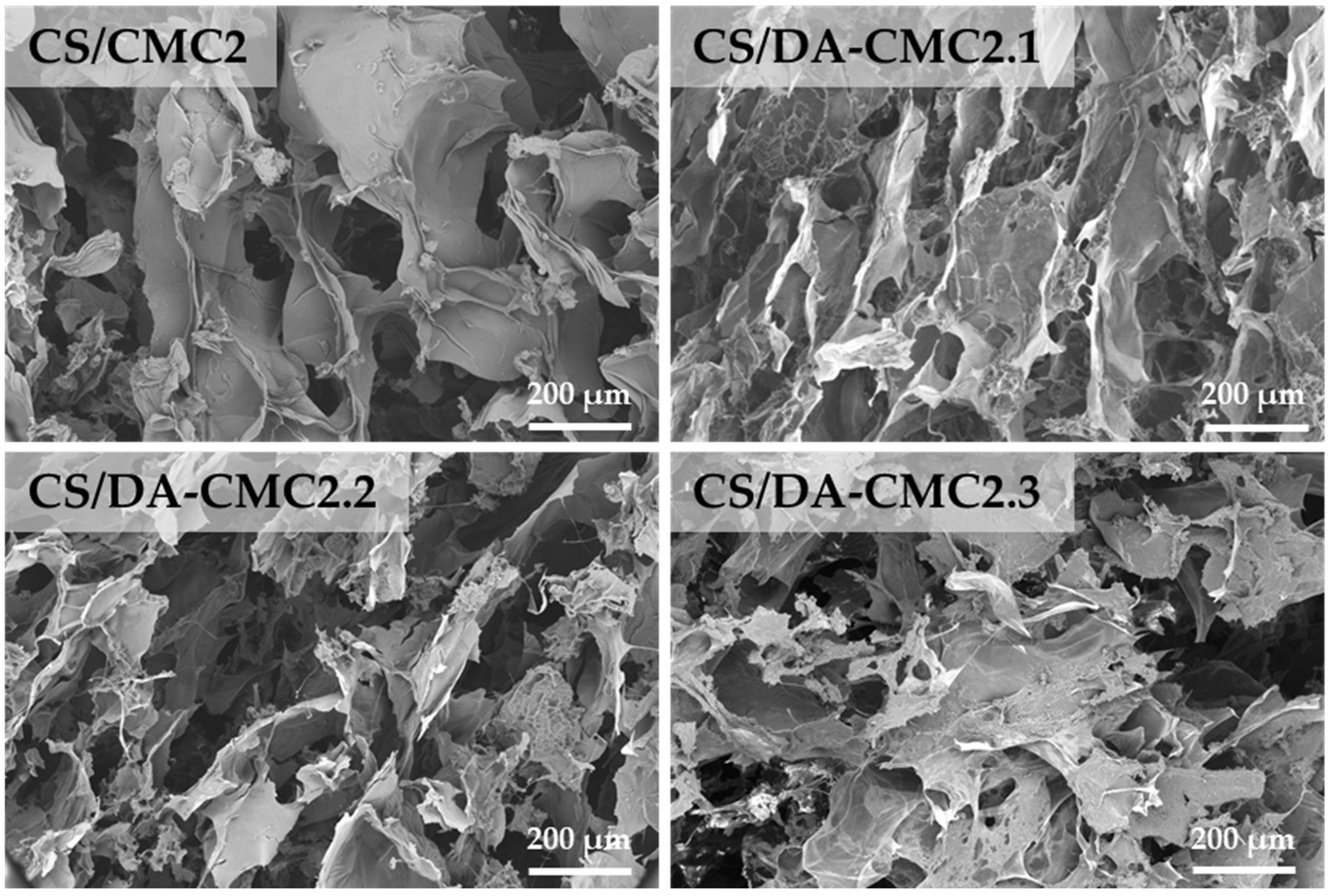 Polymers 15 03496 g007