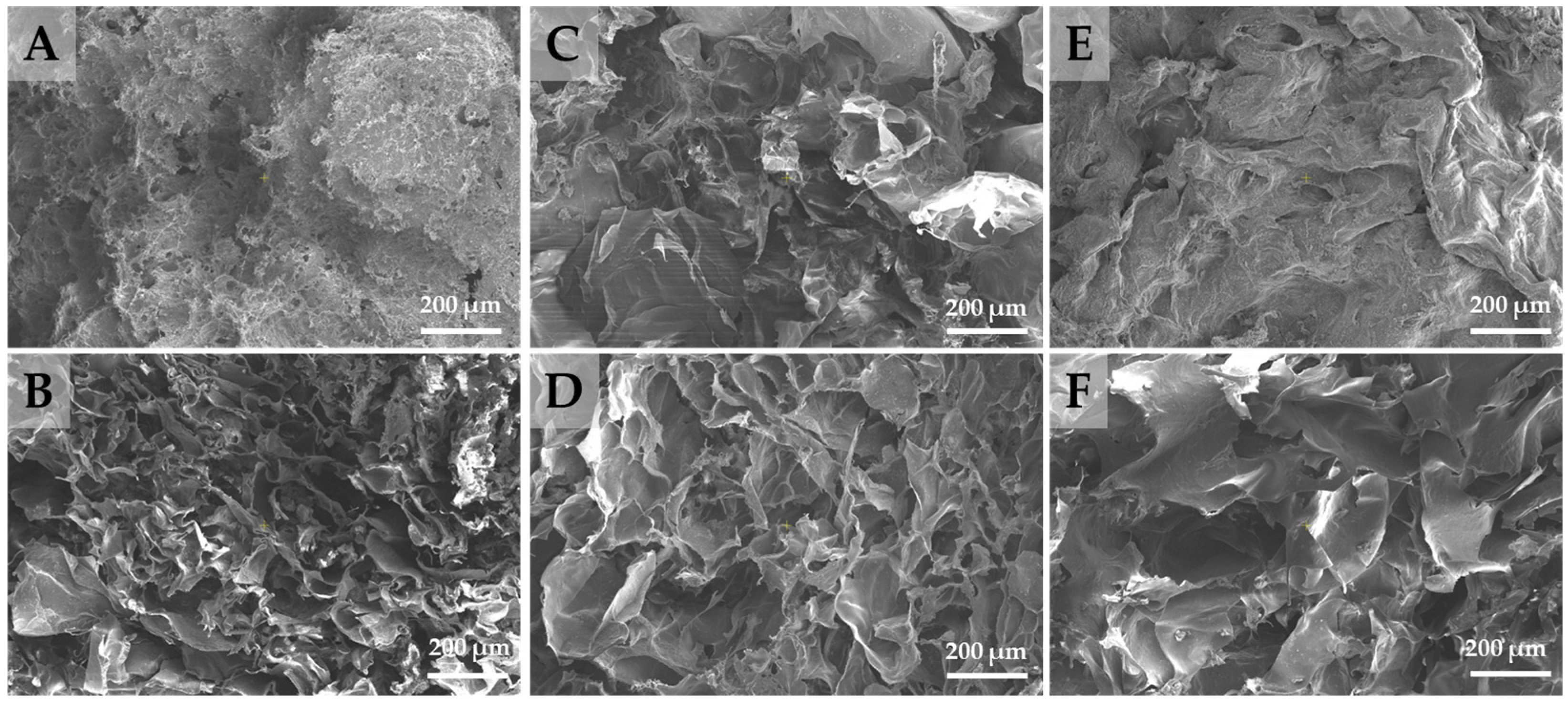 Polymers 15 03496 g011