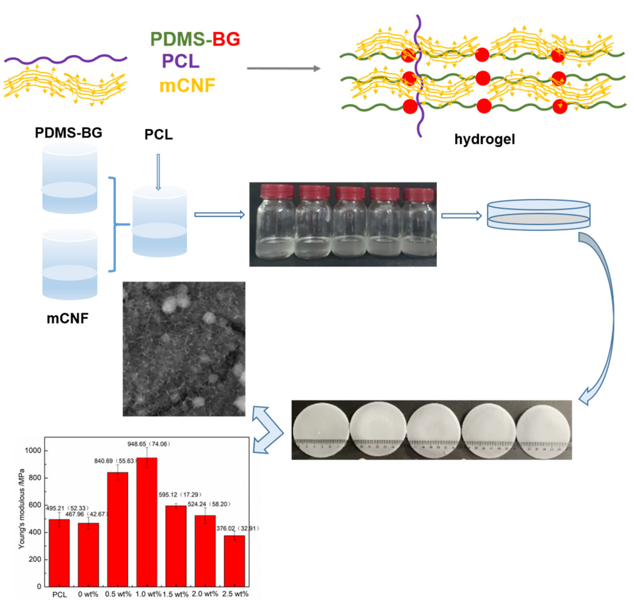 Polymers 15 03497 g001