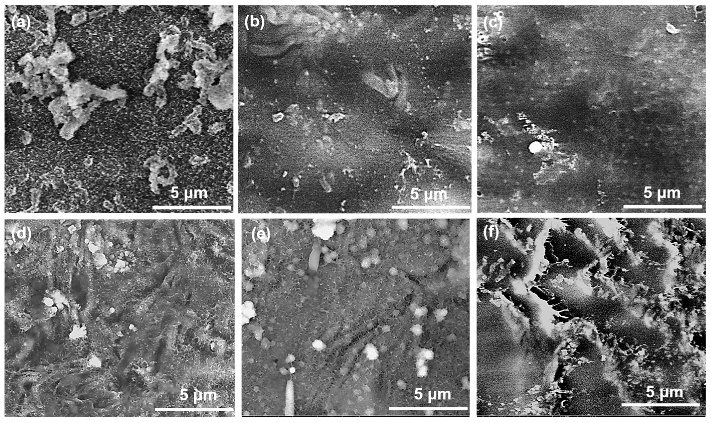 Polymers 15 03497 g007