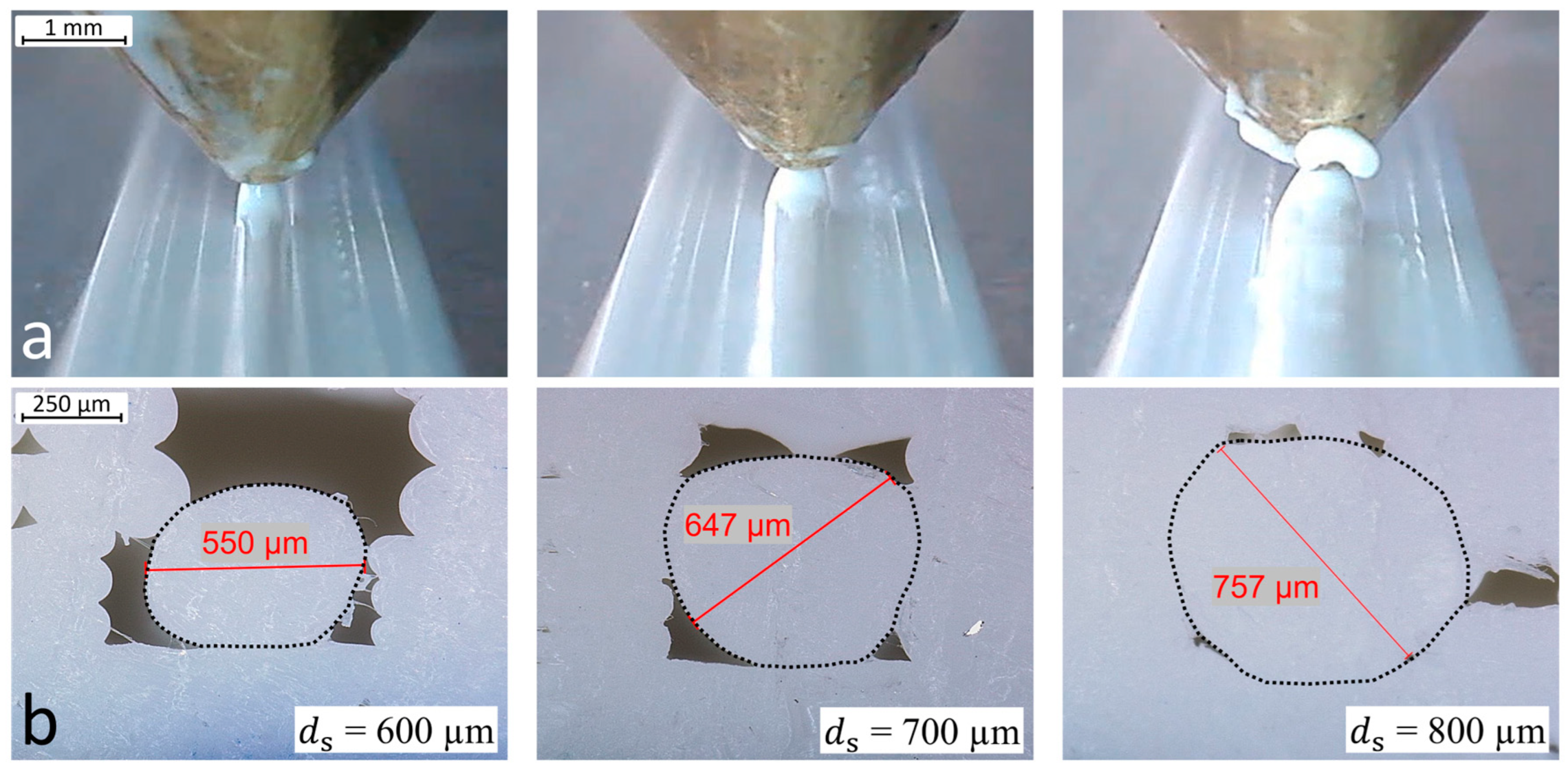 Polymers 15 03498 g010