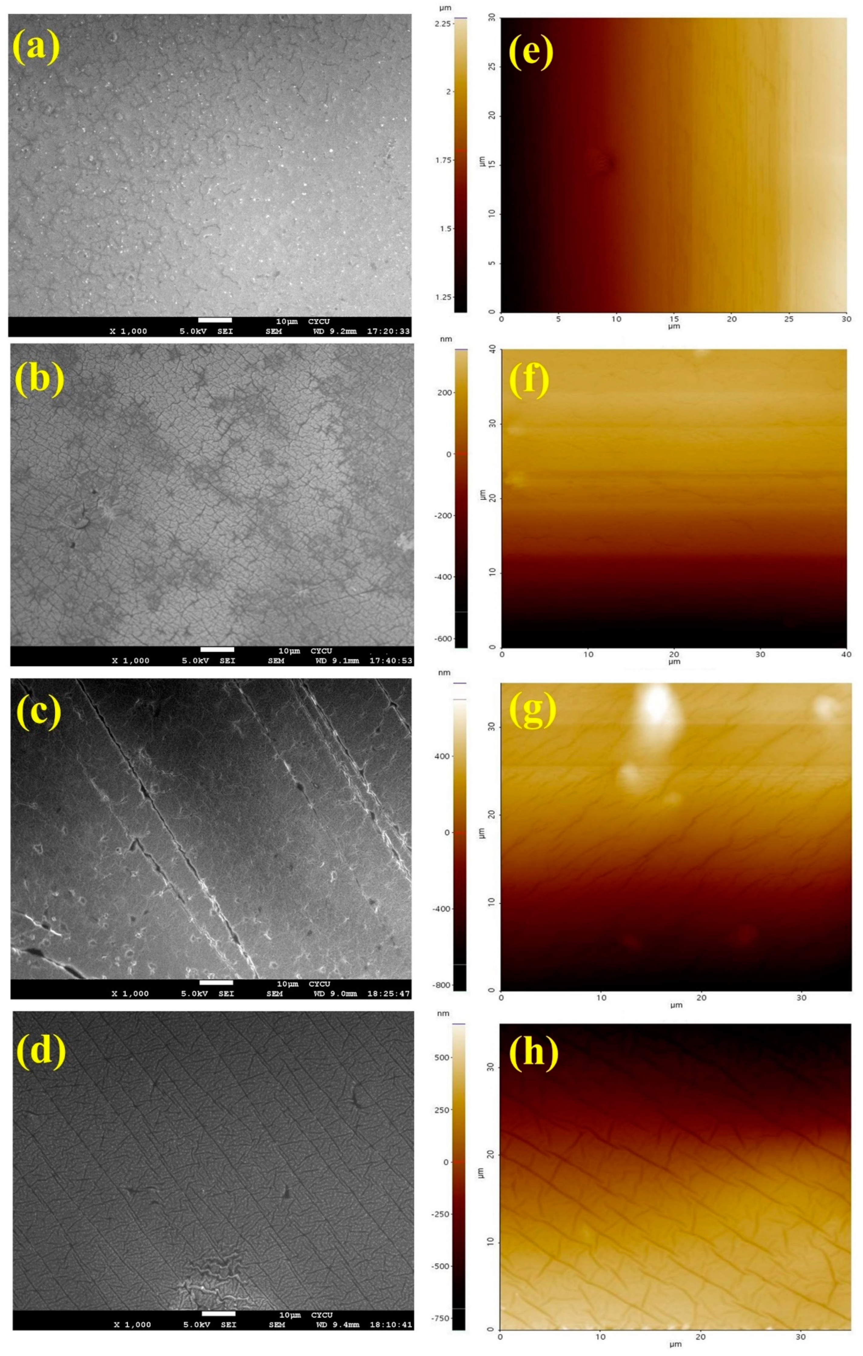 Polymers 15 03505 g011