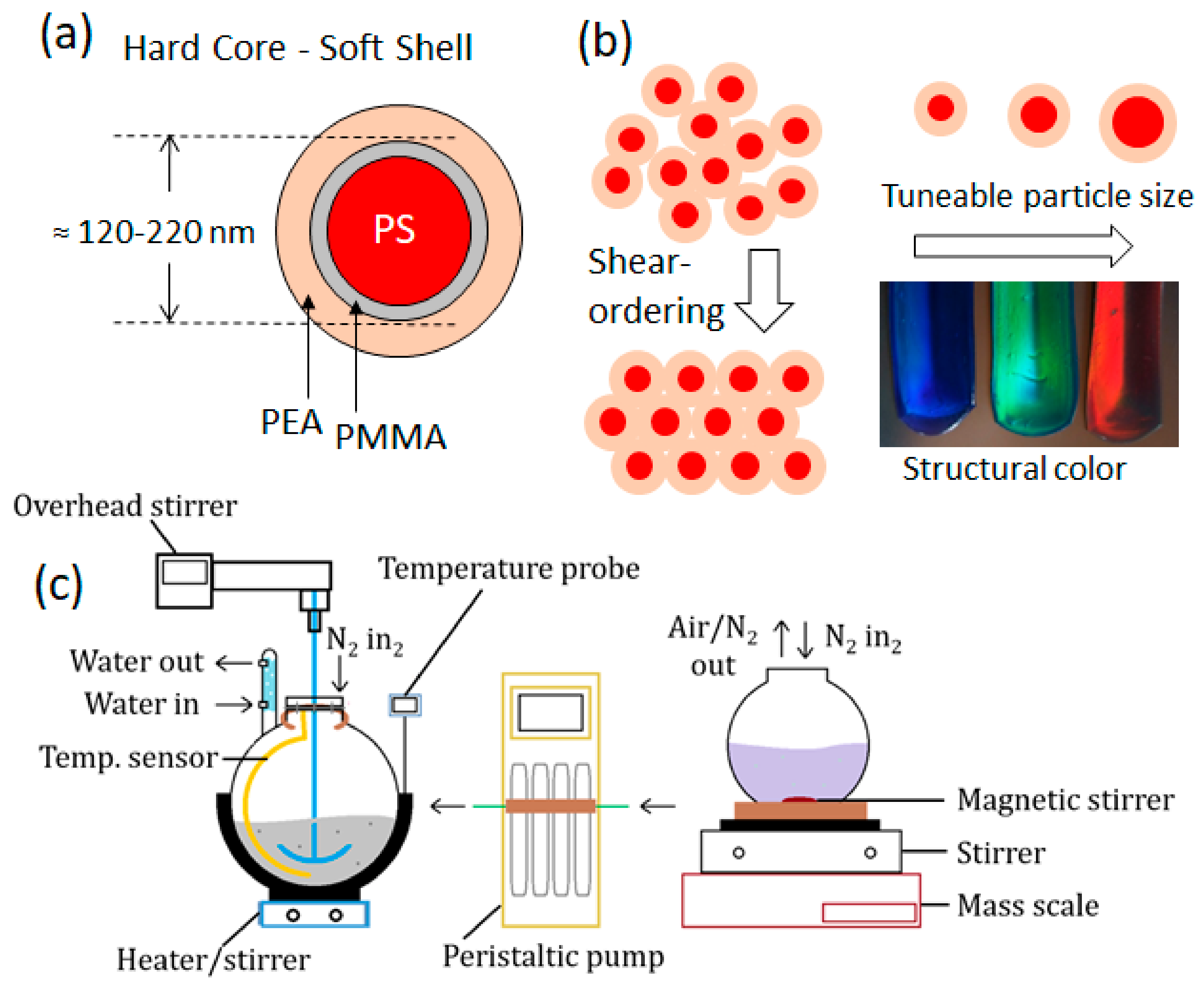 Polymers 15 03507 g001