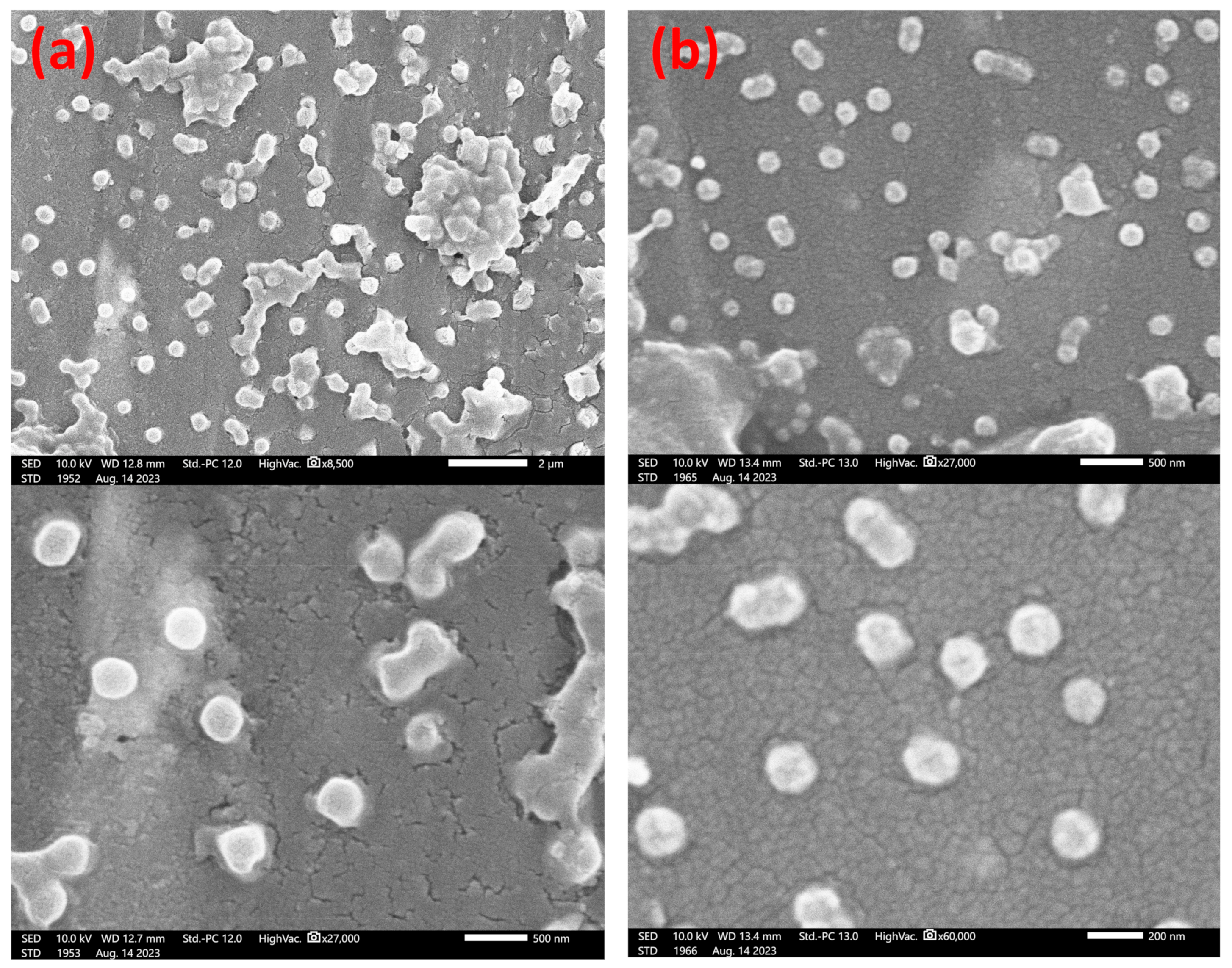 Polymers 15 03507 g004