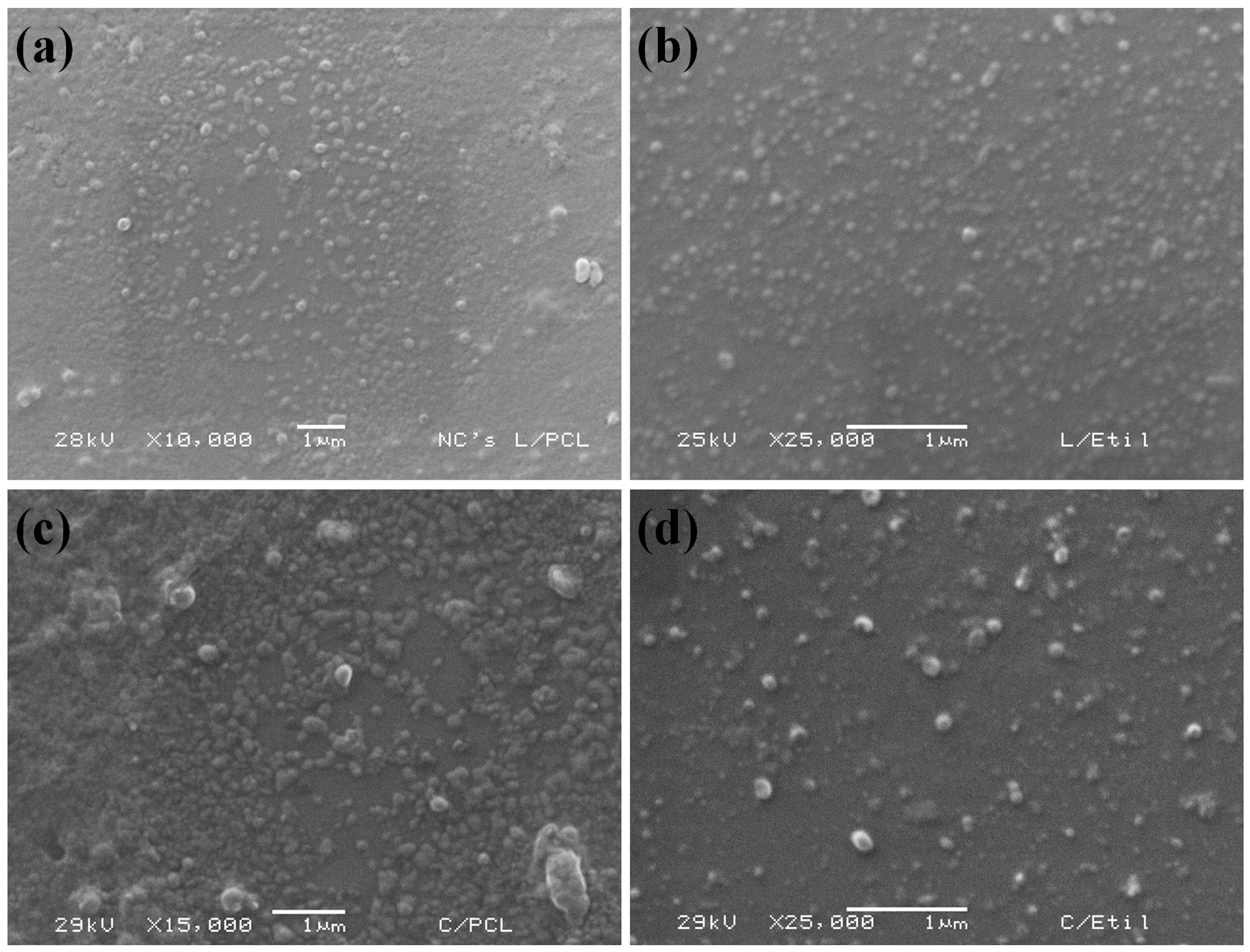Polymers 15 03515 g001